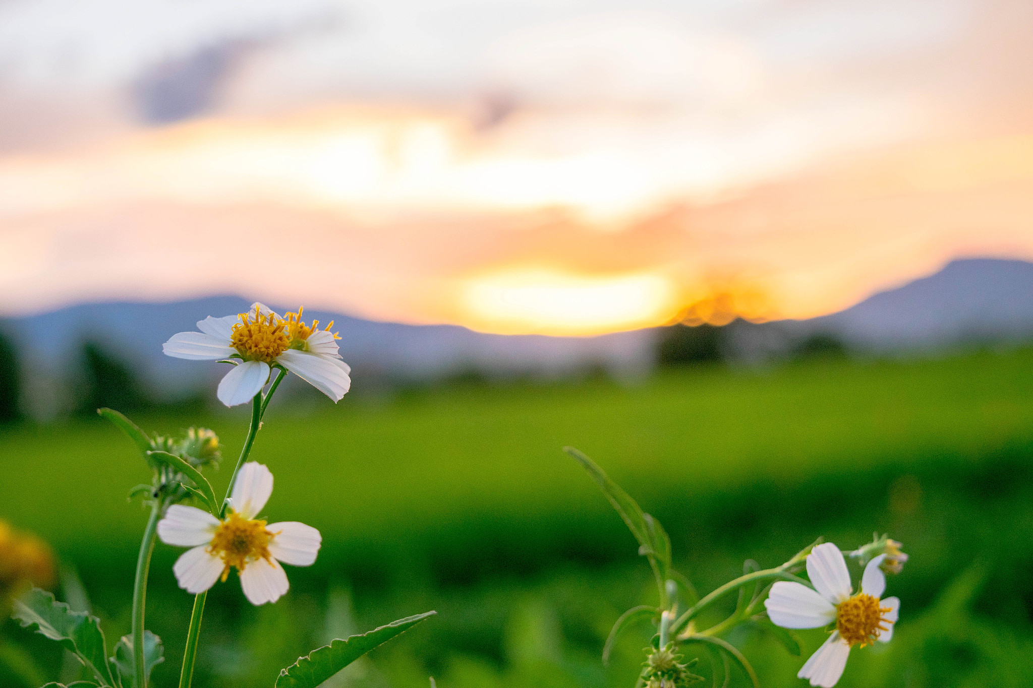 用春天写一300字作文