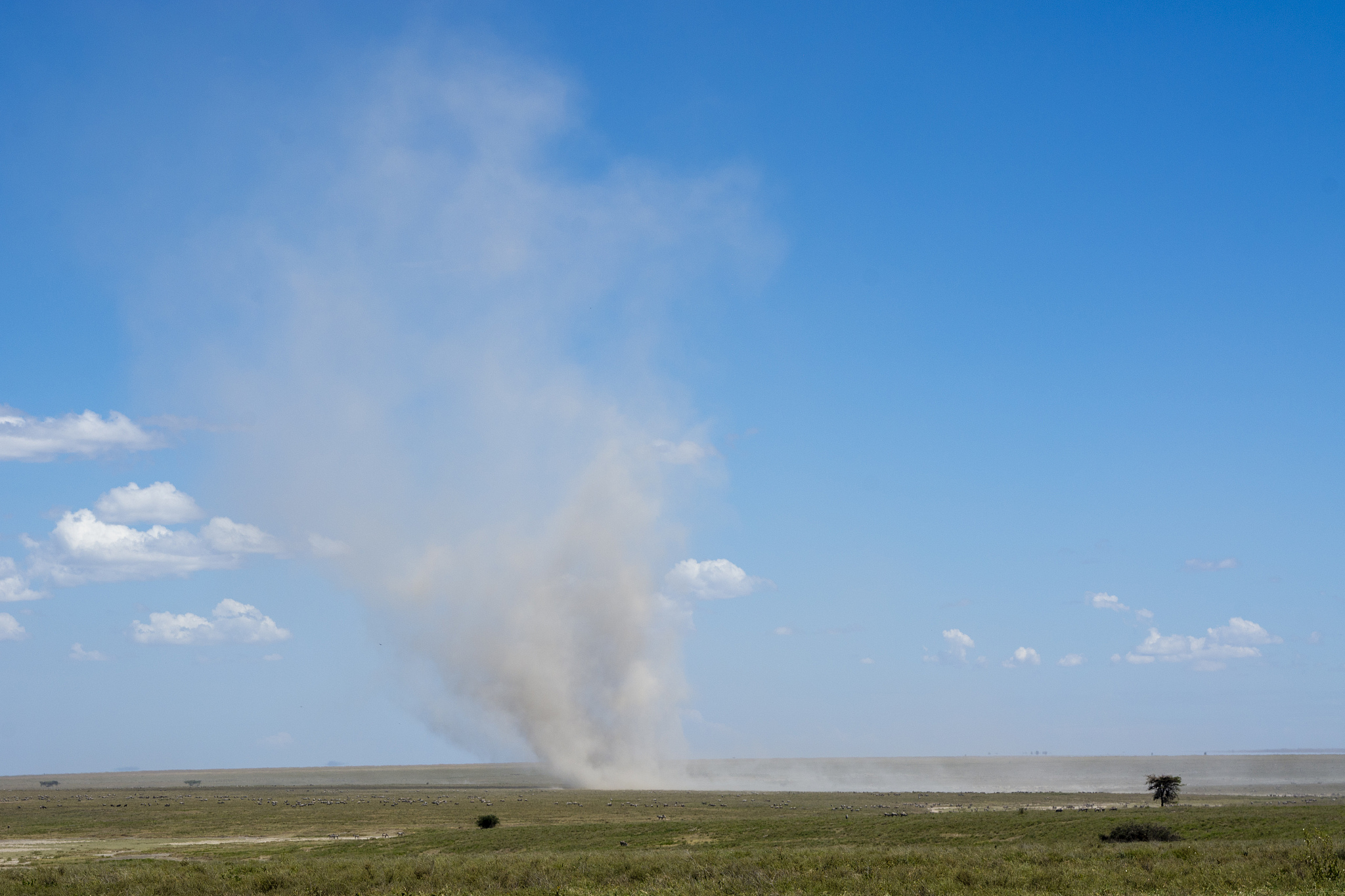 dust devil, ndutu, serengeti, unesco world heritage site, tanzan