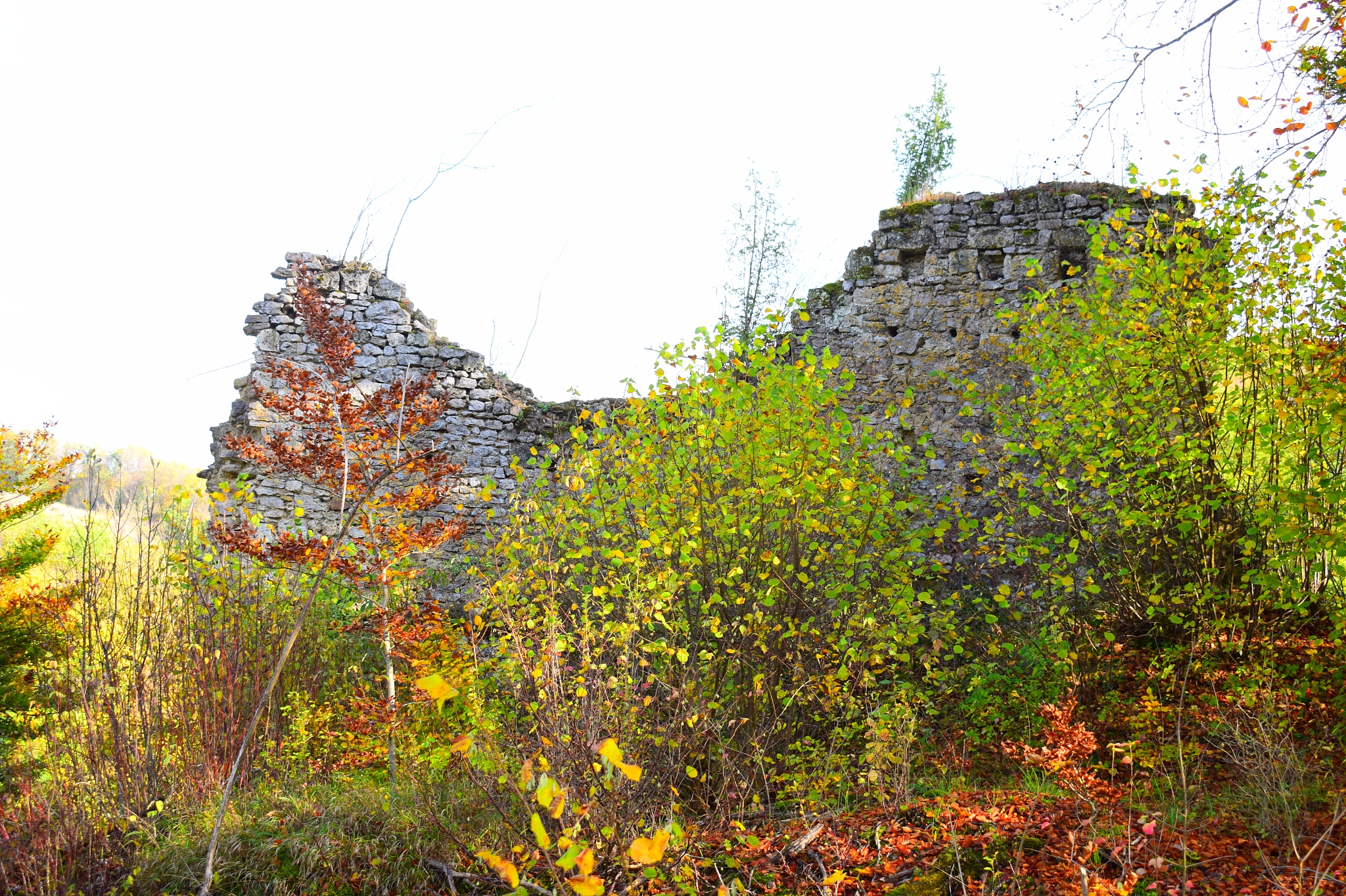 ruin of dreimühlen