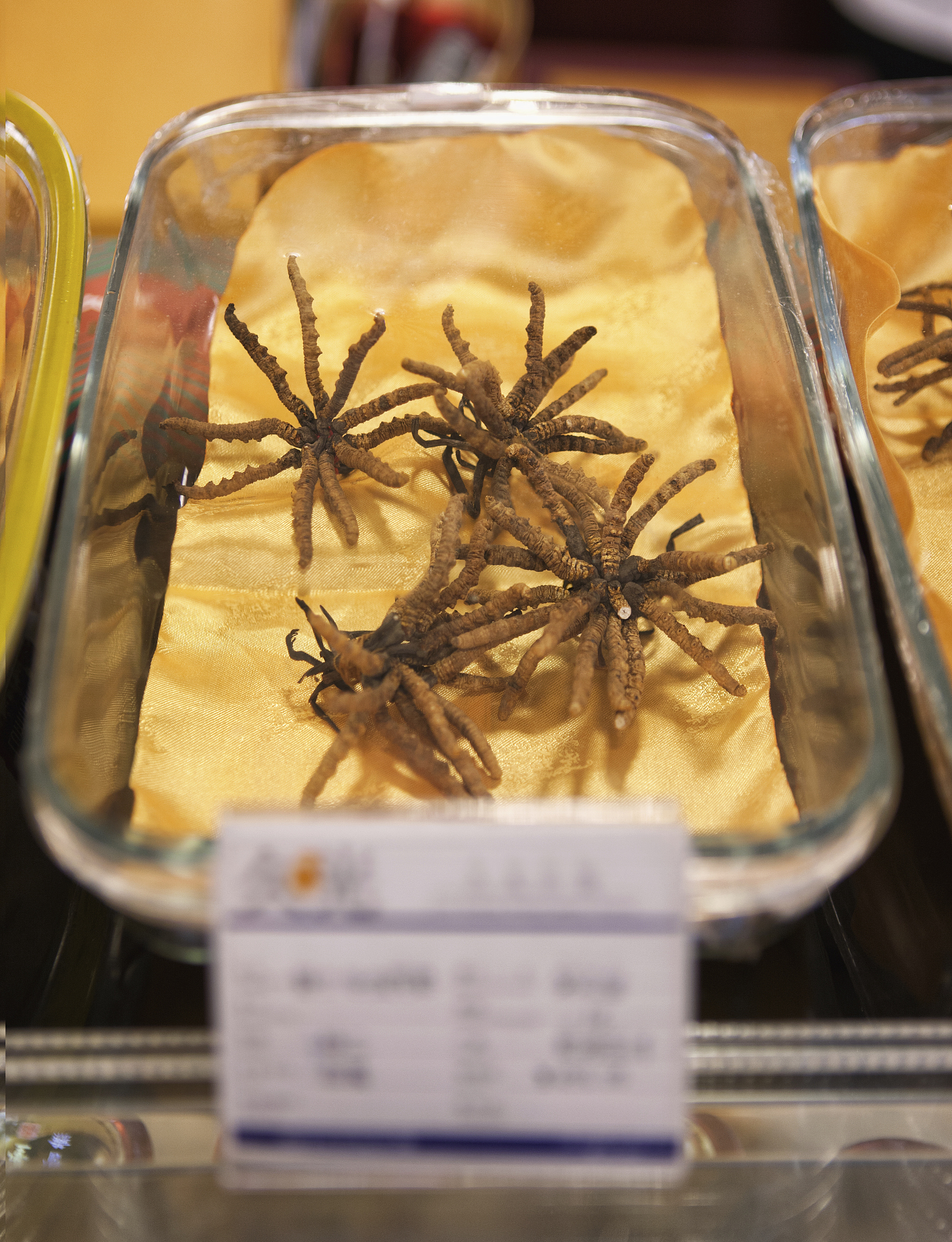 冬虫夏草一天吃几根合适，