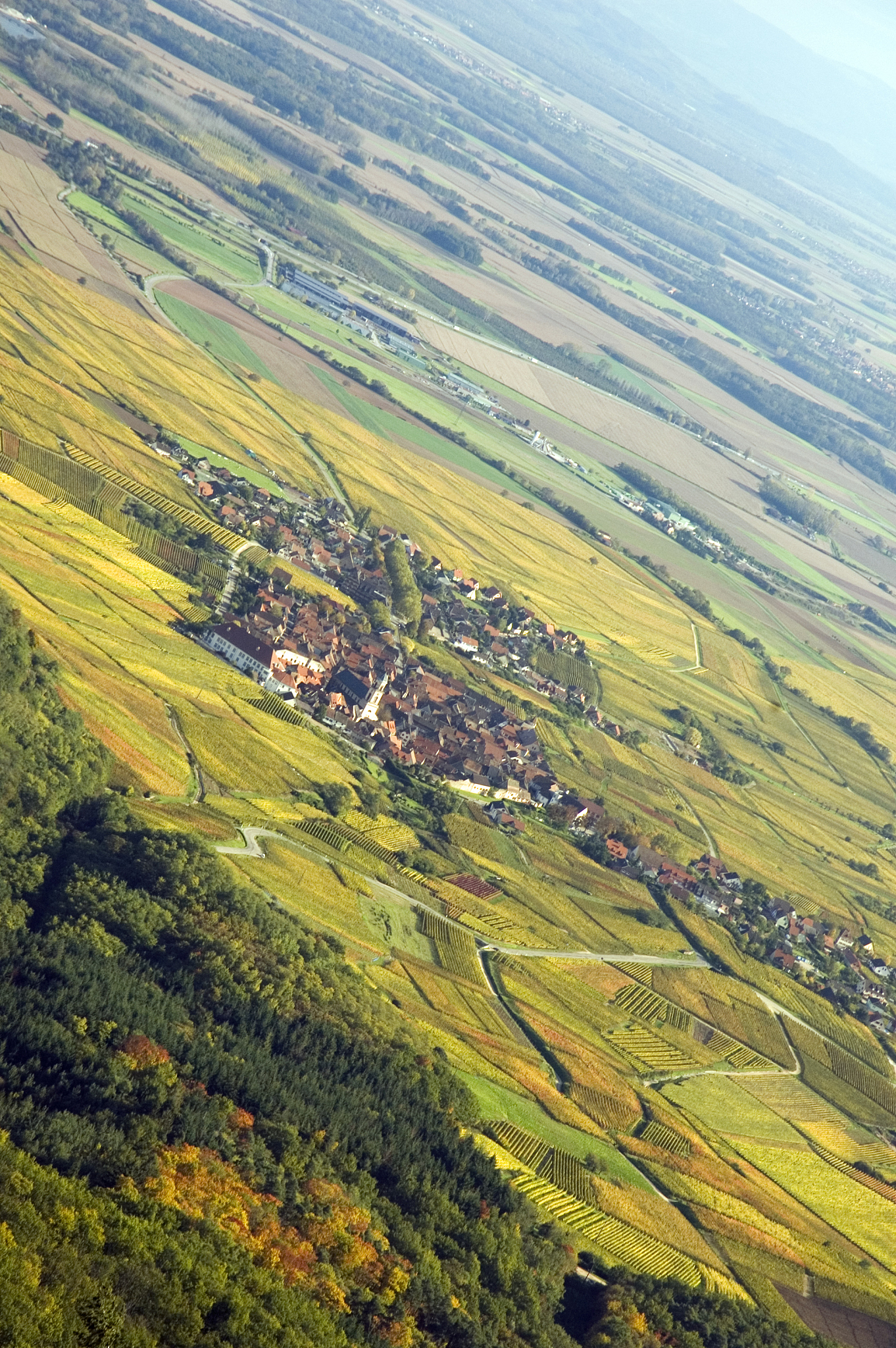 alsacian autumn - aerial view