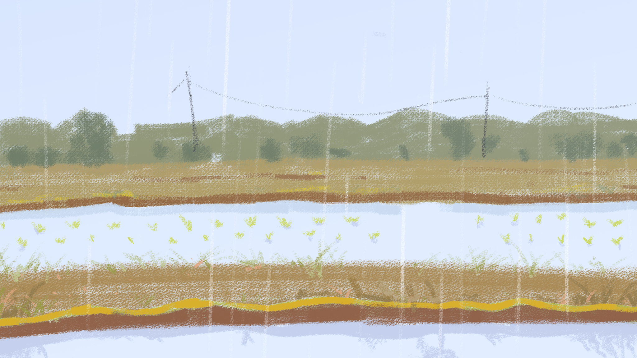 关于水凝胶的添加方面多数研究结果证实施用SAH可在一定程度上改善土壤的水分状况积蓄土壤水分减轻表层土壤水分散失。中文改写并扩写一下