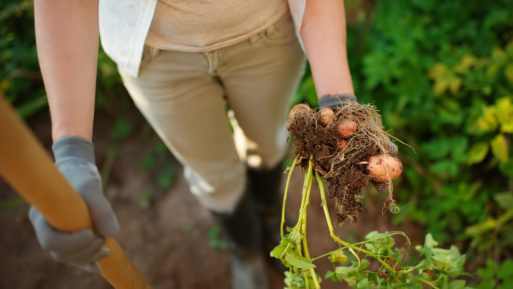 2021年曲靖农业学校三年制中专招生热线
