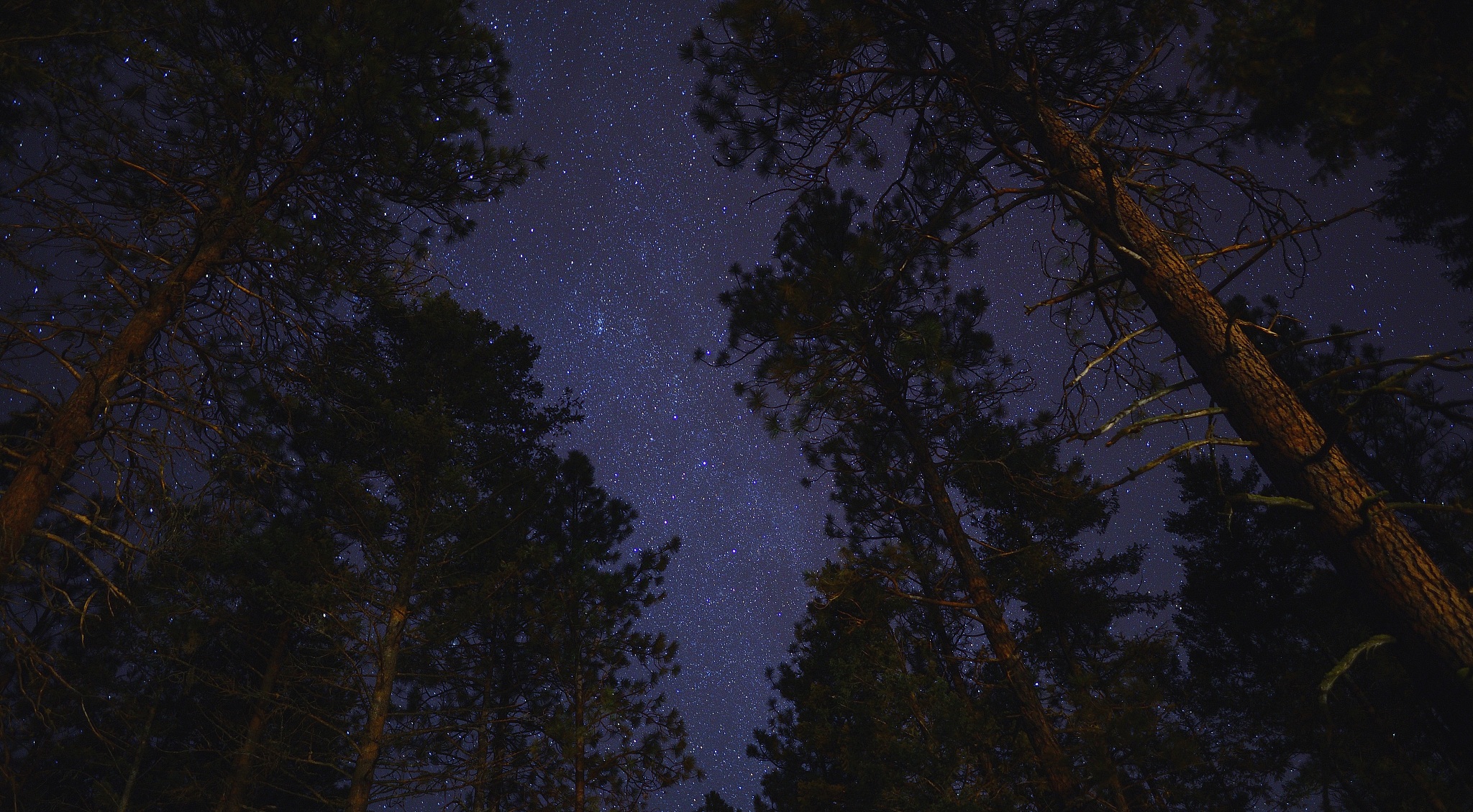 Zima Blue: A Captivating Love, Death & Robots Short Film Exploring Art, Identity, and Life's Meaning