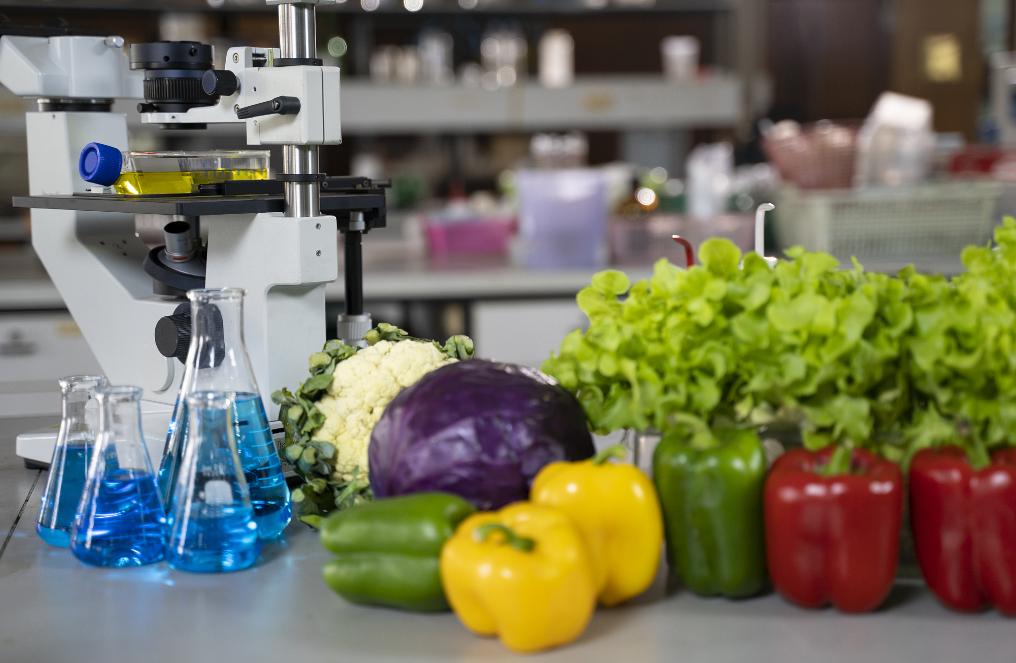 JOURNAL OF AGRICULTURAL AND FOOD CHEMISTRY期刊详细介绍？