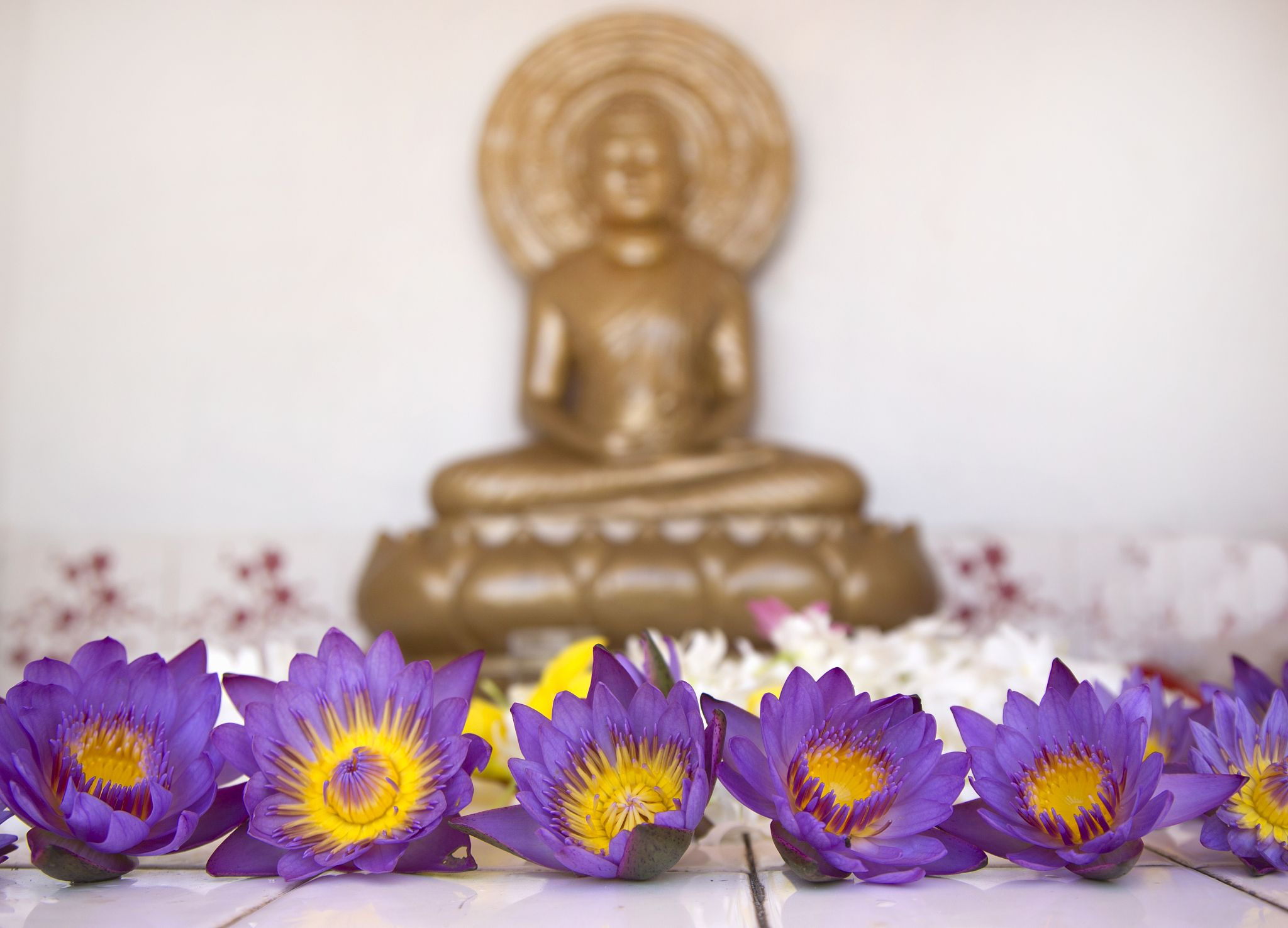 虔诚供奉佛祖菩萨自然会得到佛的恩泽；晨钟暮鼓之中自有一种禅悦的生命趣味。求得六根清净远离名利喧嚣生命便进入一个脱俗的高境界。得此偈者目前多烦扰之事诸事不顺心绪不宁。若要于俗世中求得清净当知在特定的社会中命运有一定的运行轨迹求之未必有得。不如安分守已藏器待时当可六根清净心宽体胖。什么意思帮我用100字详细描述