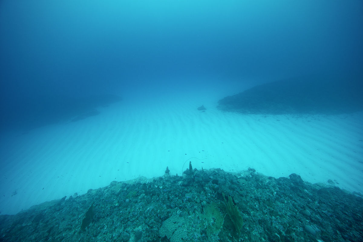 深海底