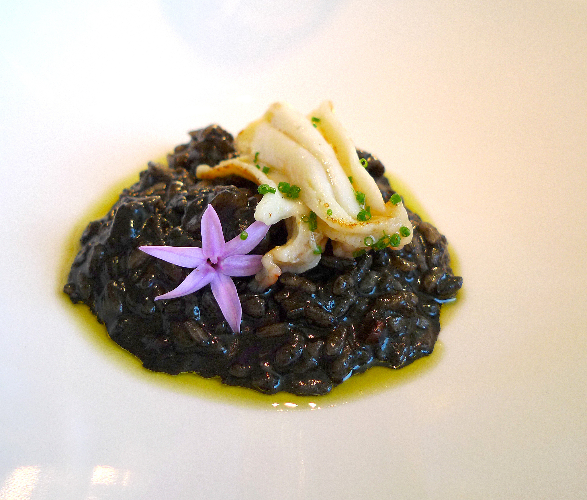 海参如何繁殖？解密海参强大的繁殖能力！