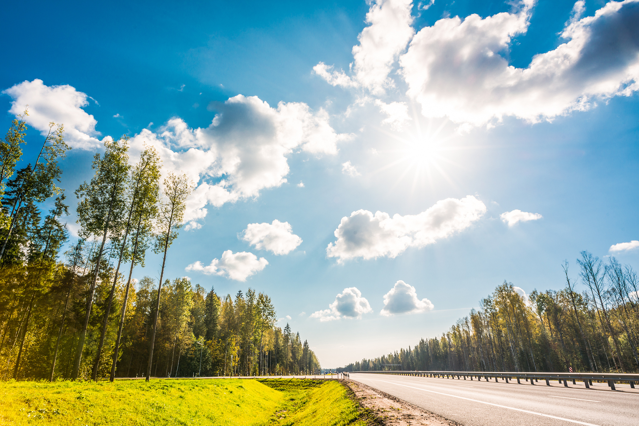 今天天气真好！阳光明媚，心情愉悦