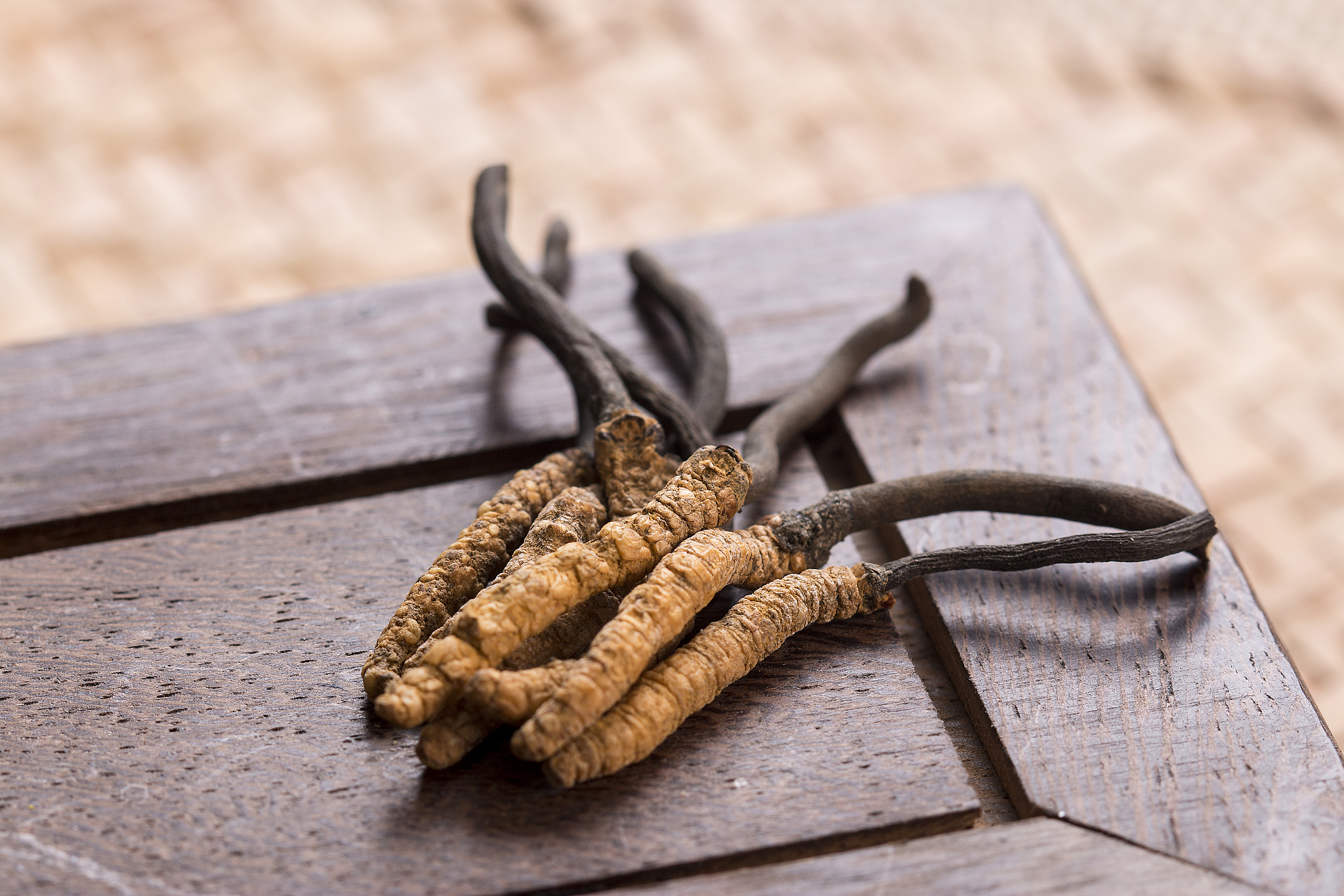 冬虫夏草其实没有什么功效，