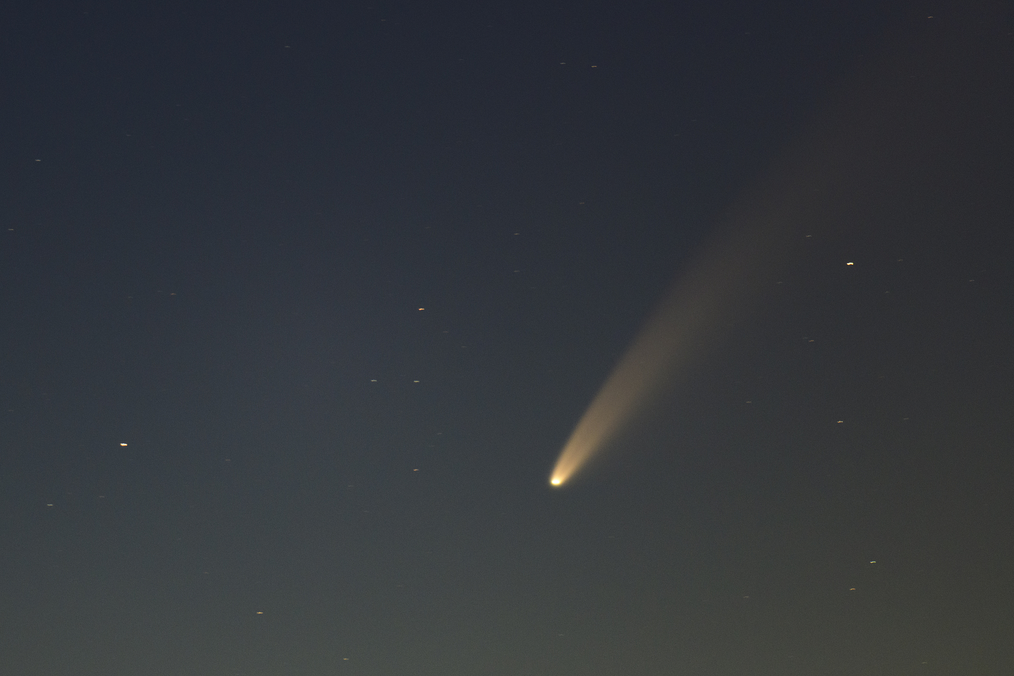 comet neowise in the dark night sky