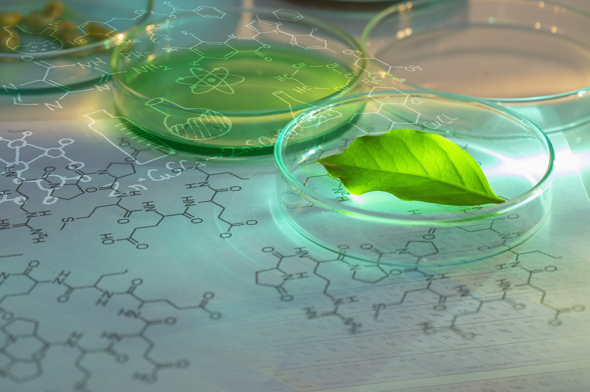 植物外泌体怎么应用到医美？请给出参考资料来源