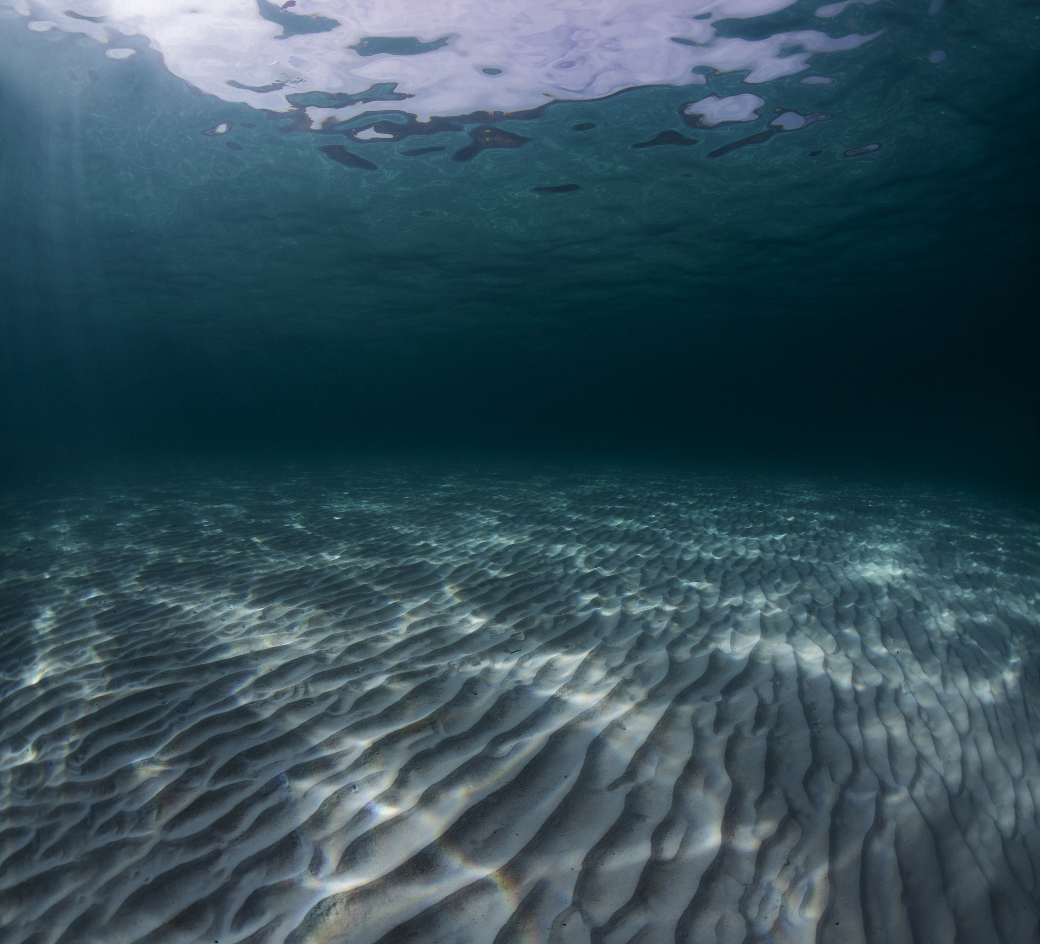 sea