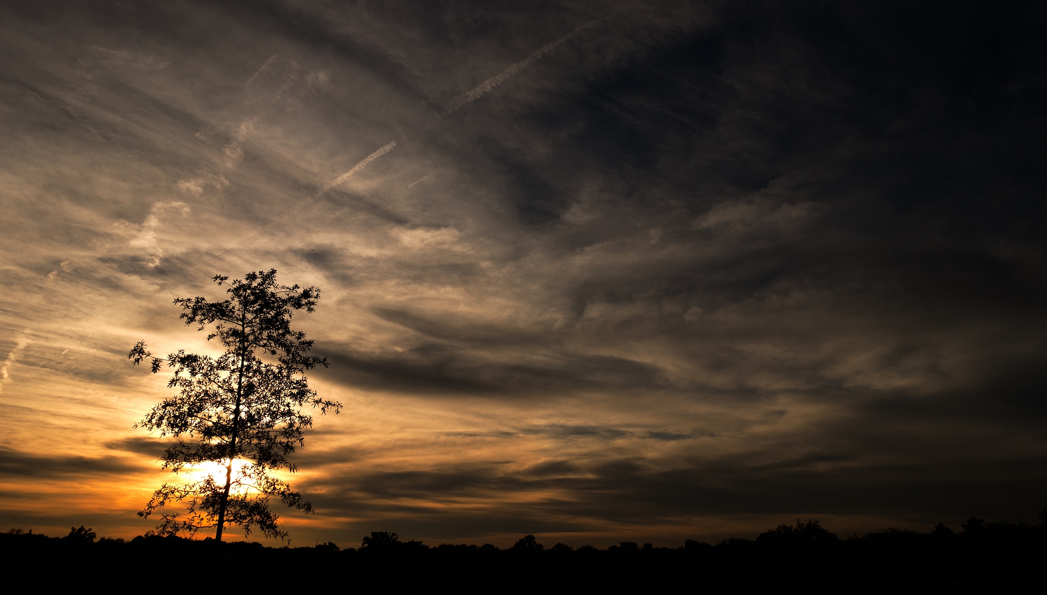正激电路工作原理、控制策略及应用领域综述