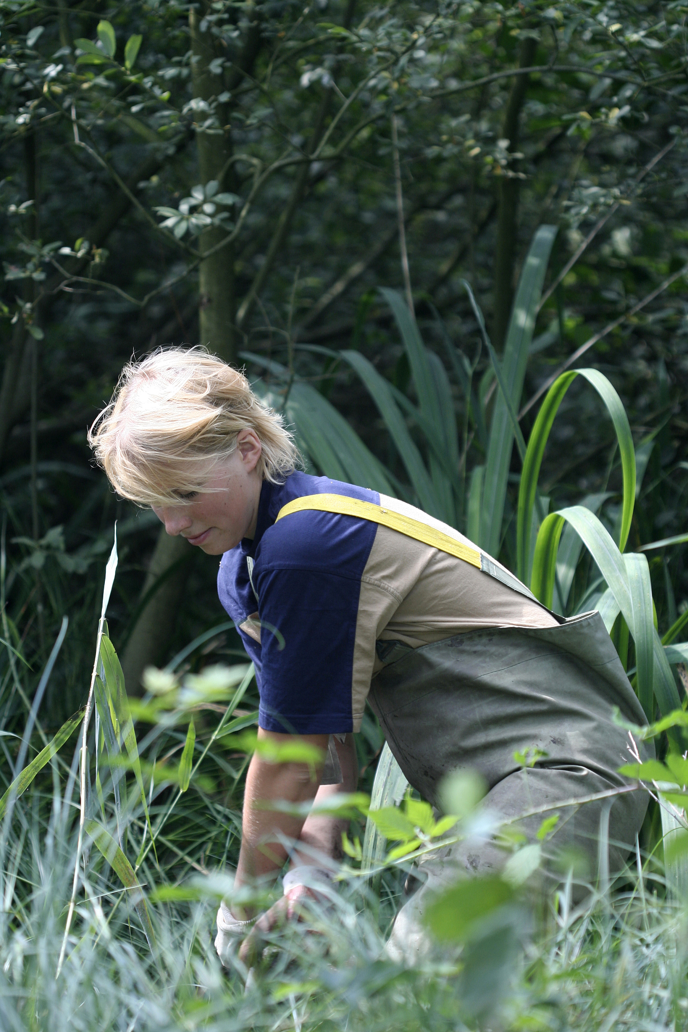 PEDOBIOLOGIA 期刊：土壤生物学研究范围