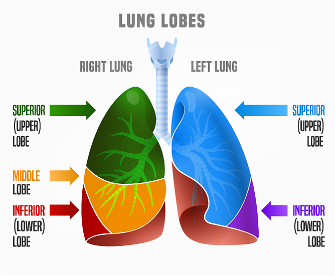 慢阻肺合并呼吸衰竭：症状、治疗与预防