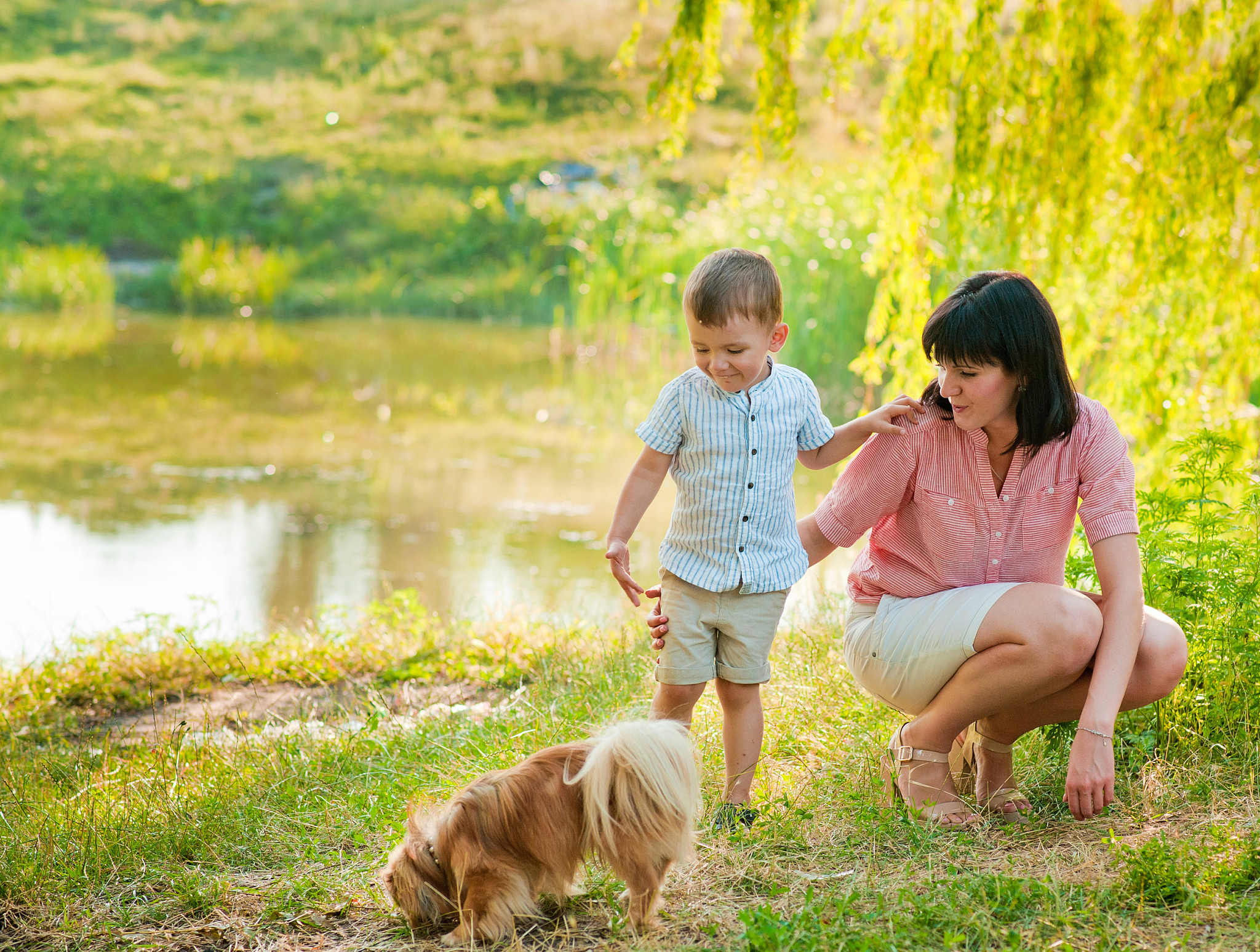 夏日草原：孩子们与狗狗的欢乐时光