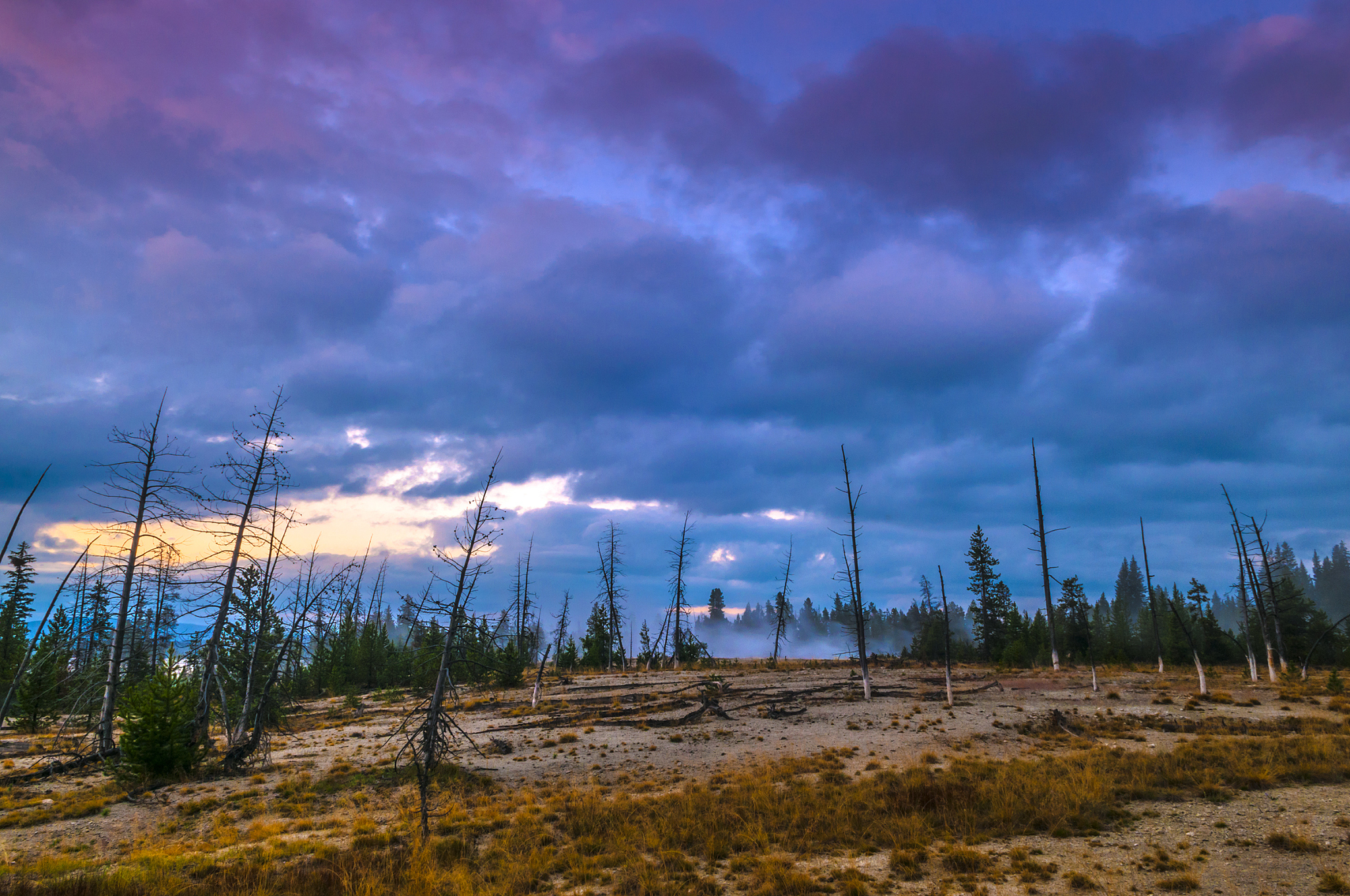 摄影学和航空摄影课玩手机检讨书：深刻反思，改正错误