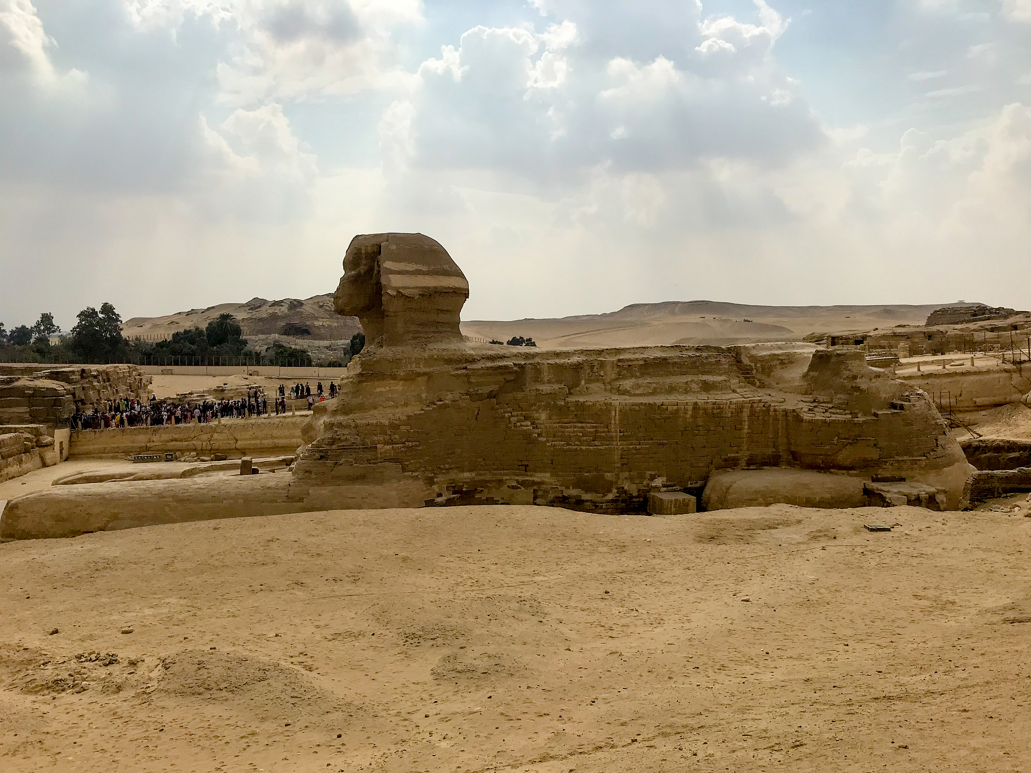the sphinx