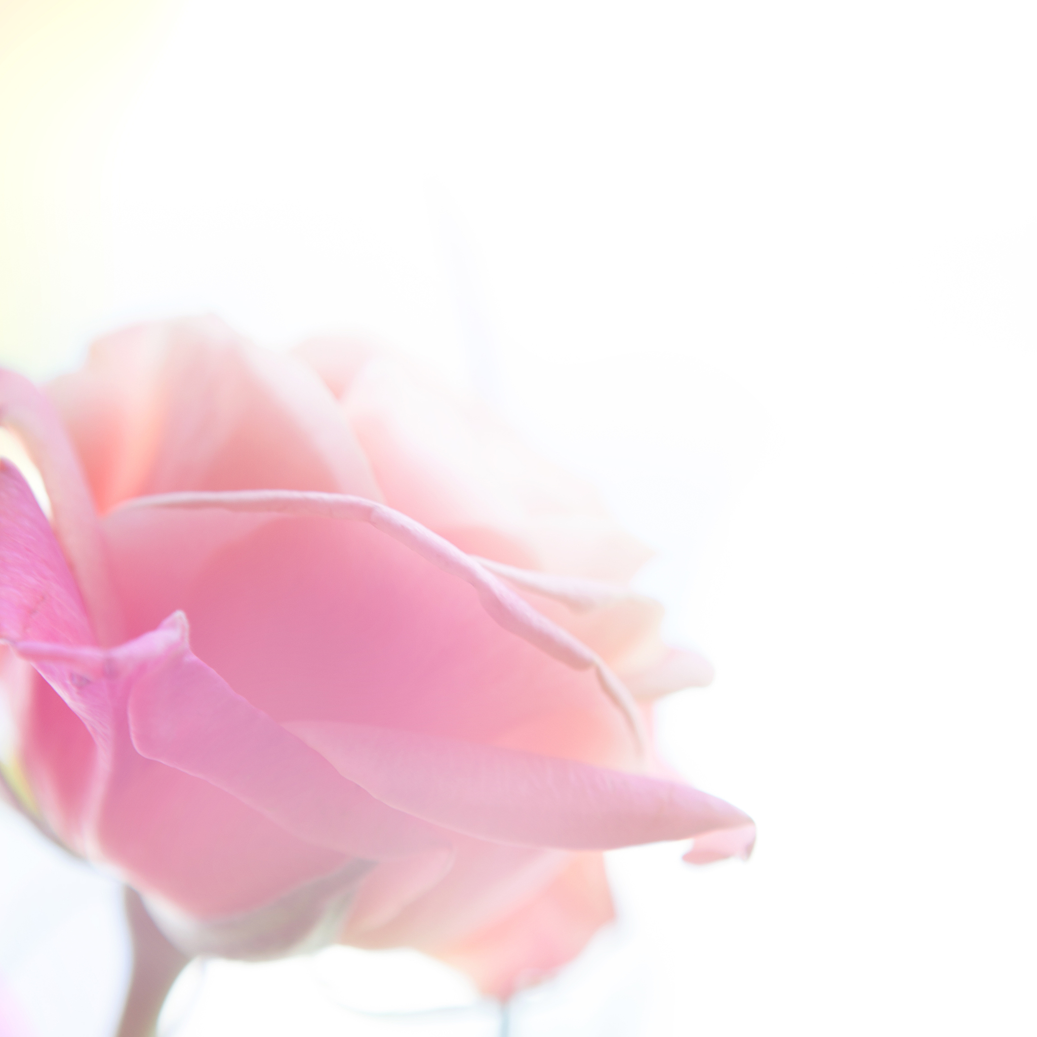 关于摄影构图写一篇不低于500字的文章