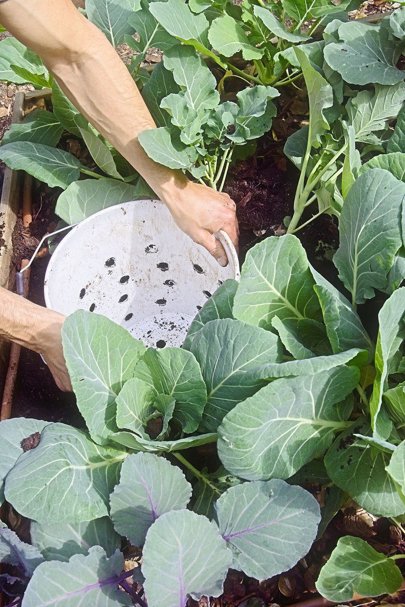 自然园艺影视剧推荐几部