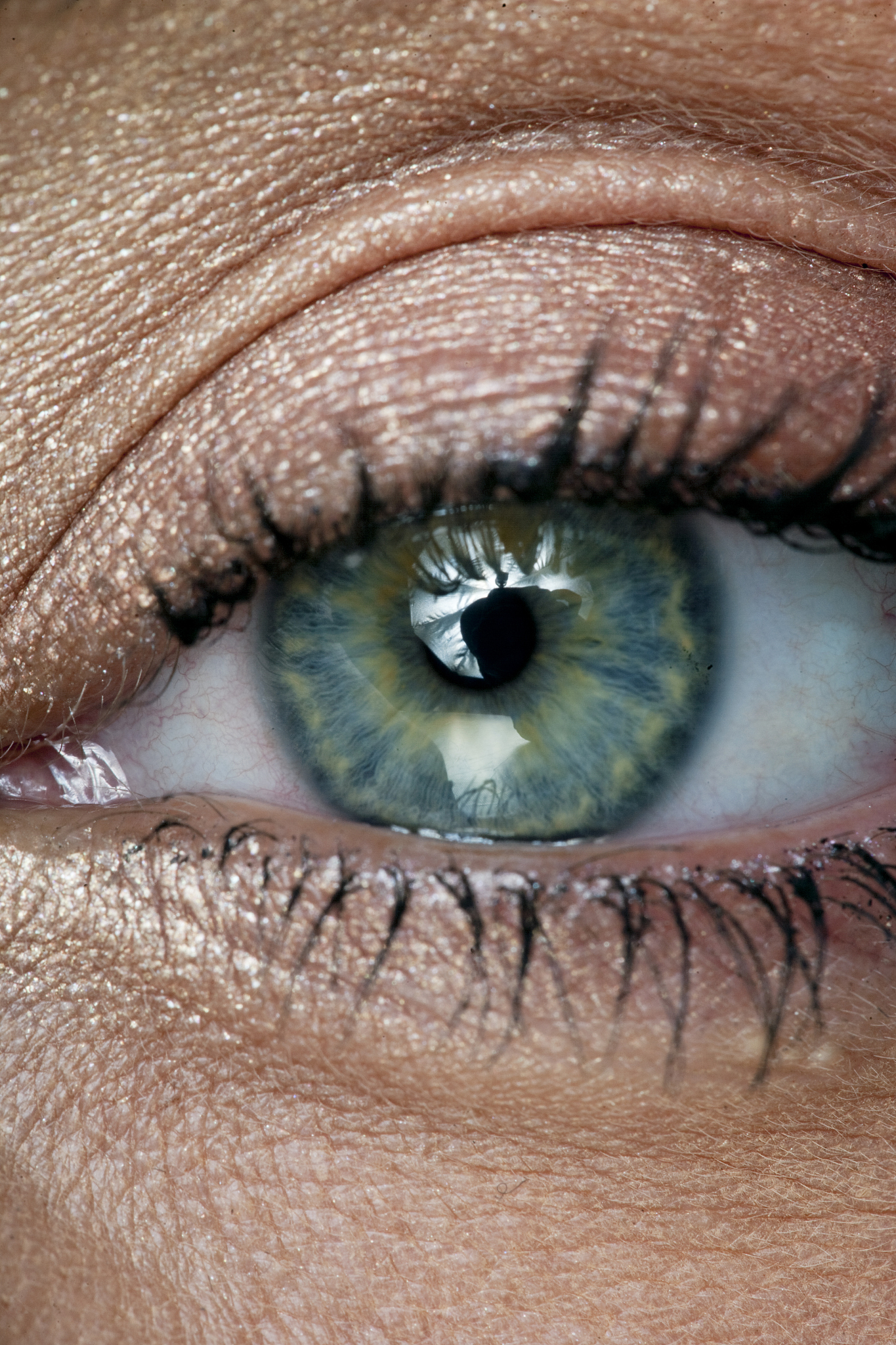 closeup of an eye