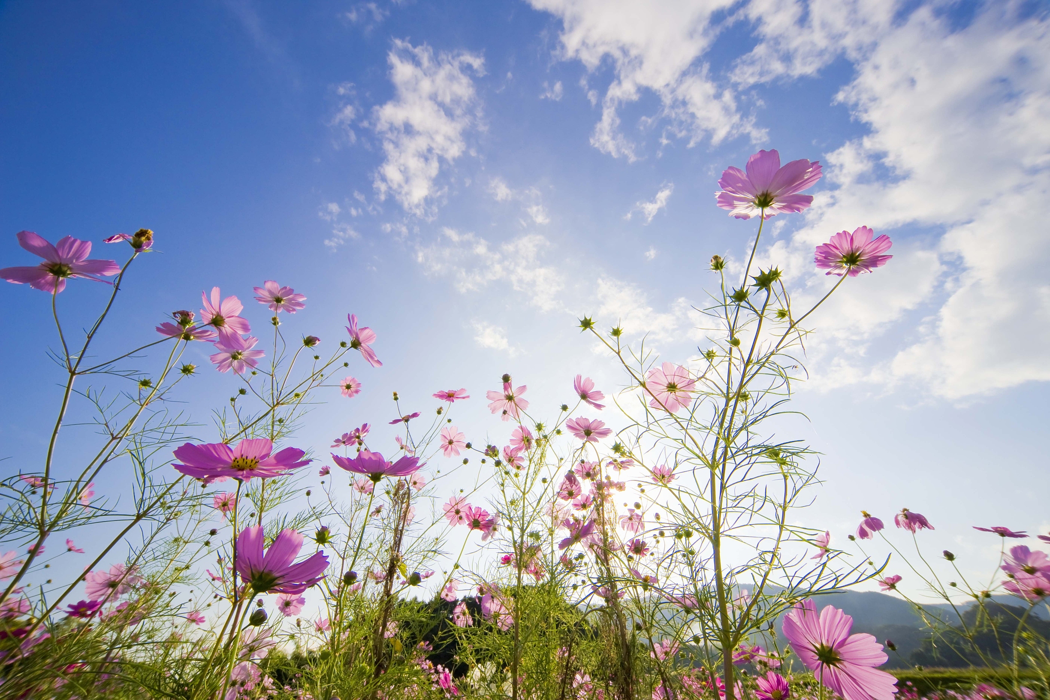 Otsu算法由谁提出