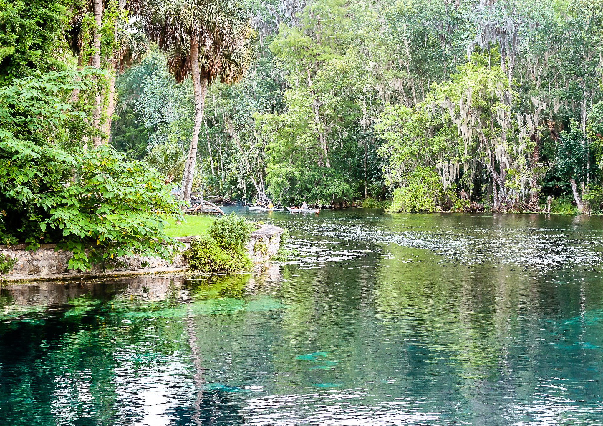 canoeing a spring fed river