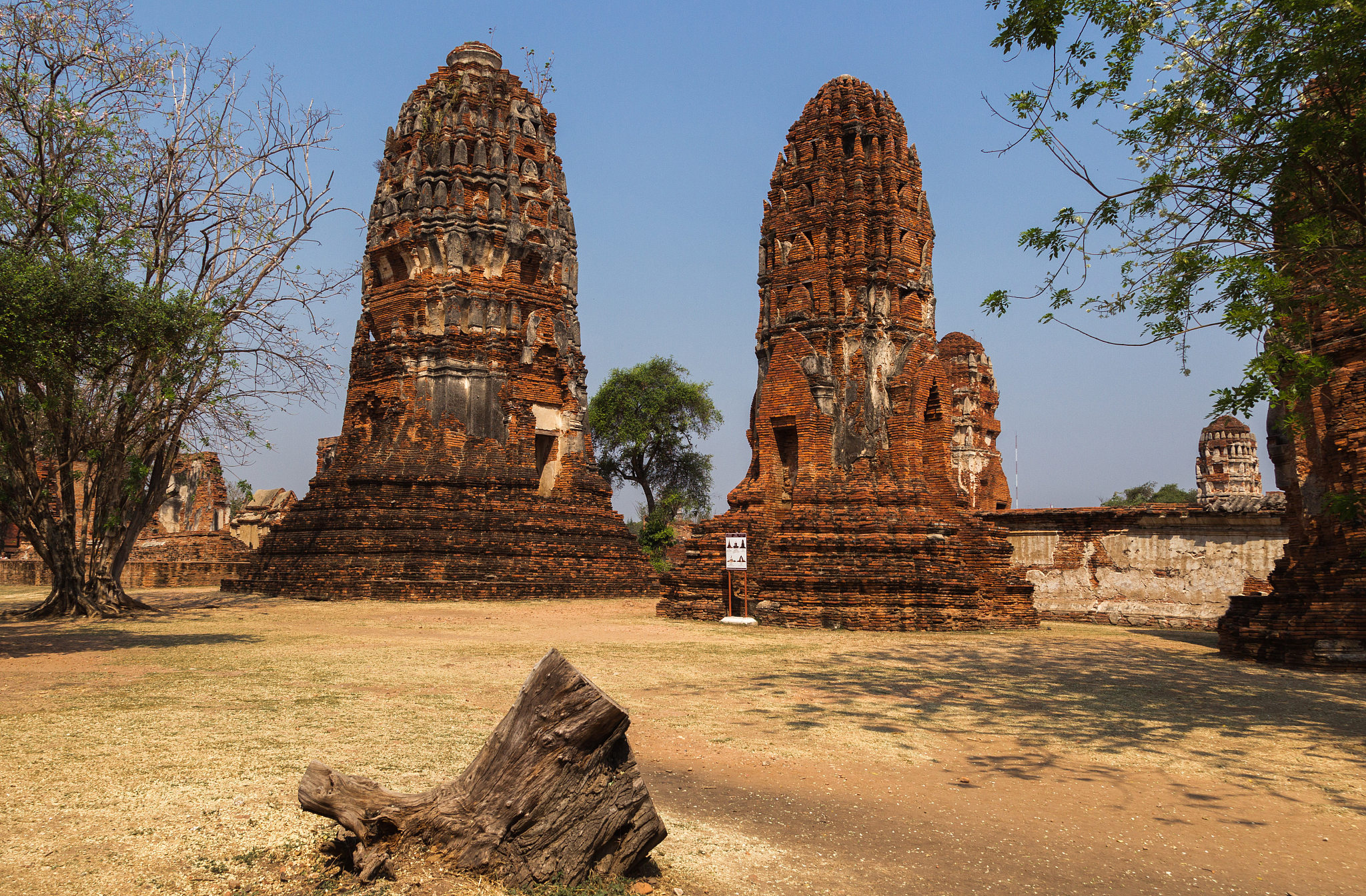 昆明艺术职业学院旅游服务与管理专业优势及发展前景