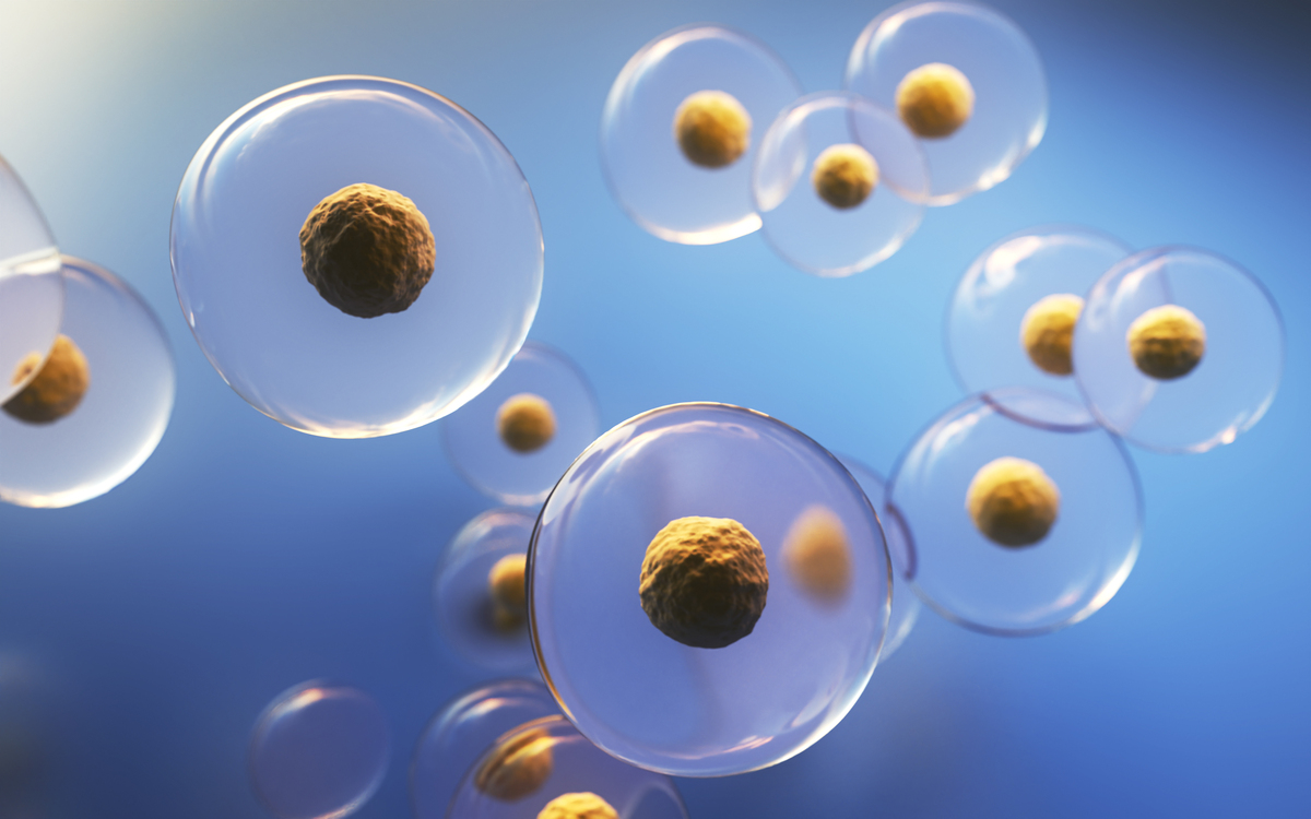 Nanomedicine: Nanotechnology, Biology, and Medicine 期刊 - 纳米医学研究的领先平台