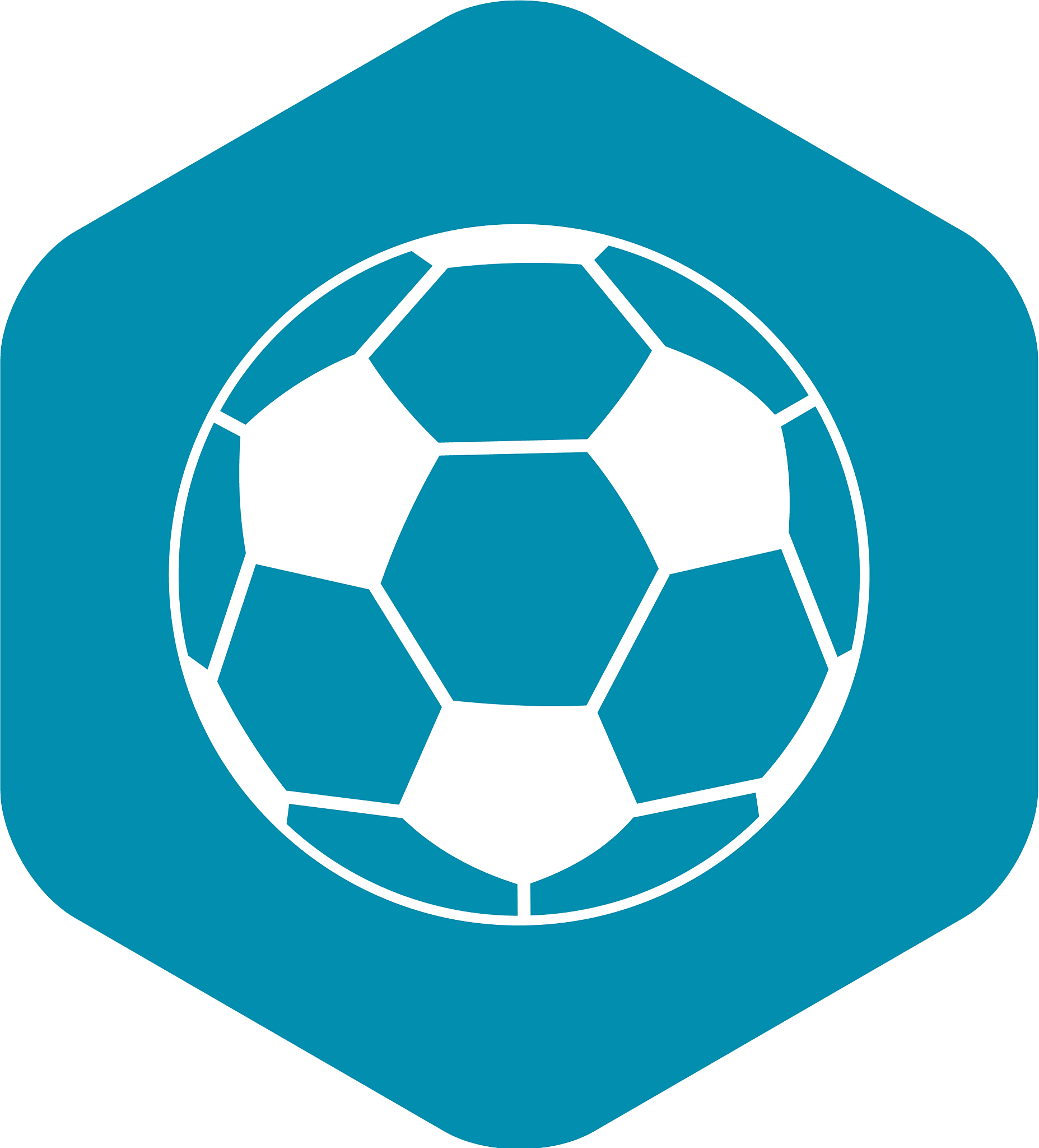 soccer ball icon simple style