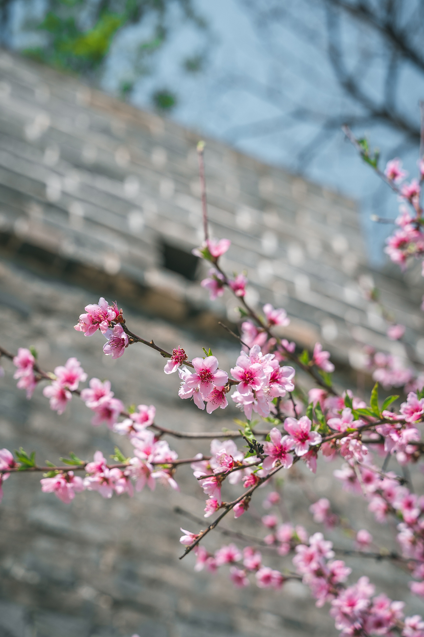 人间四月芳菲尽，山寺桃花始盛开
如何诗文回复