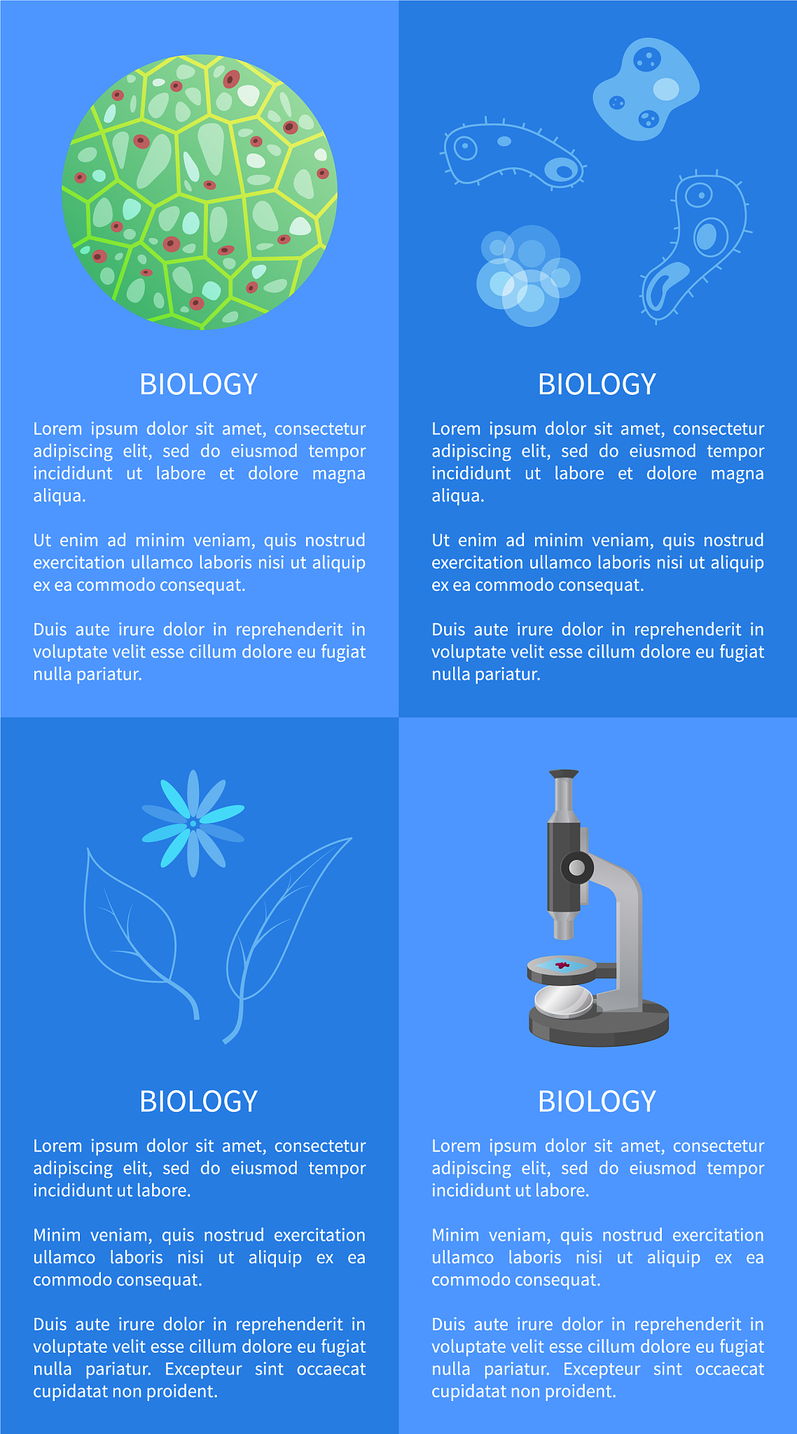 Journal of Biomedical Nanotechnology: 创刊于2005年，每月出版