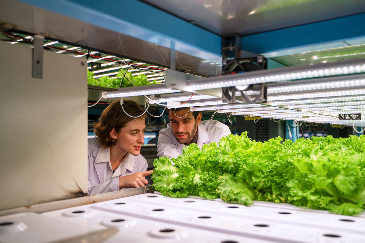 植物工厂厂商清单 | 领先的室内农业解决方案提供商