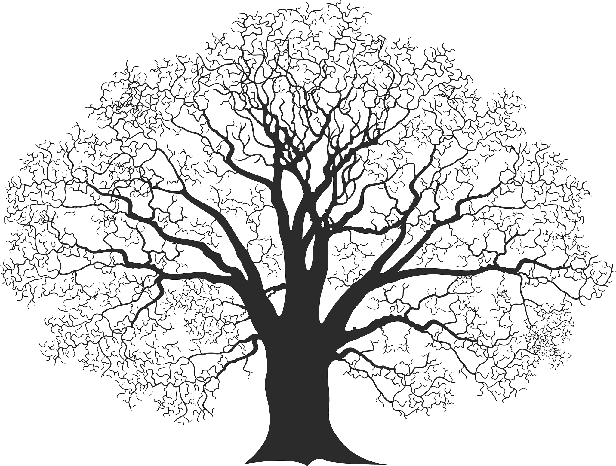 数据结构-树的度树