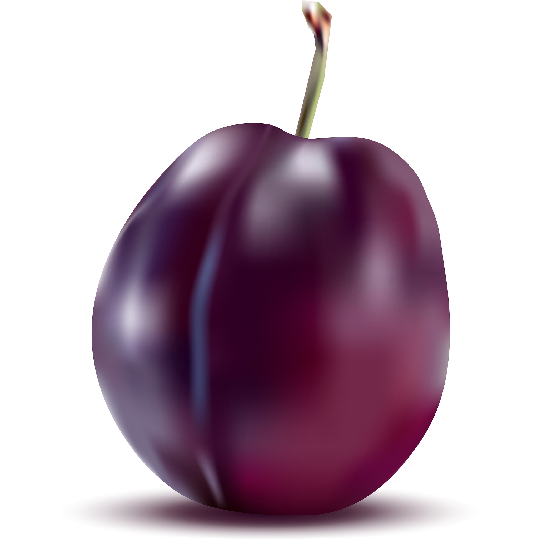 精品培训品牌项目