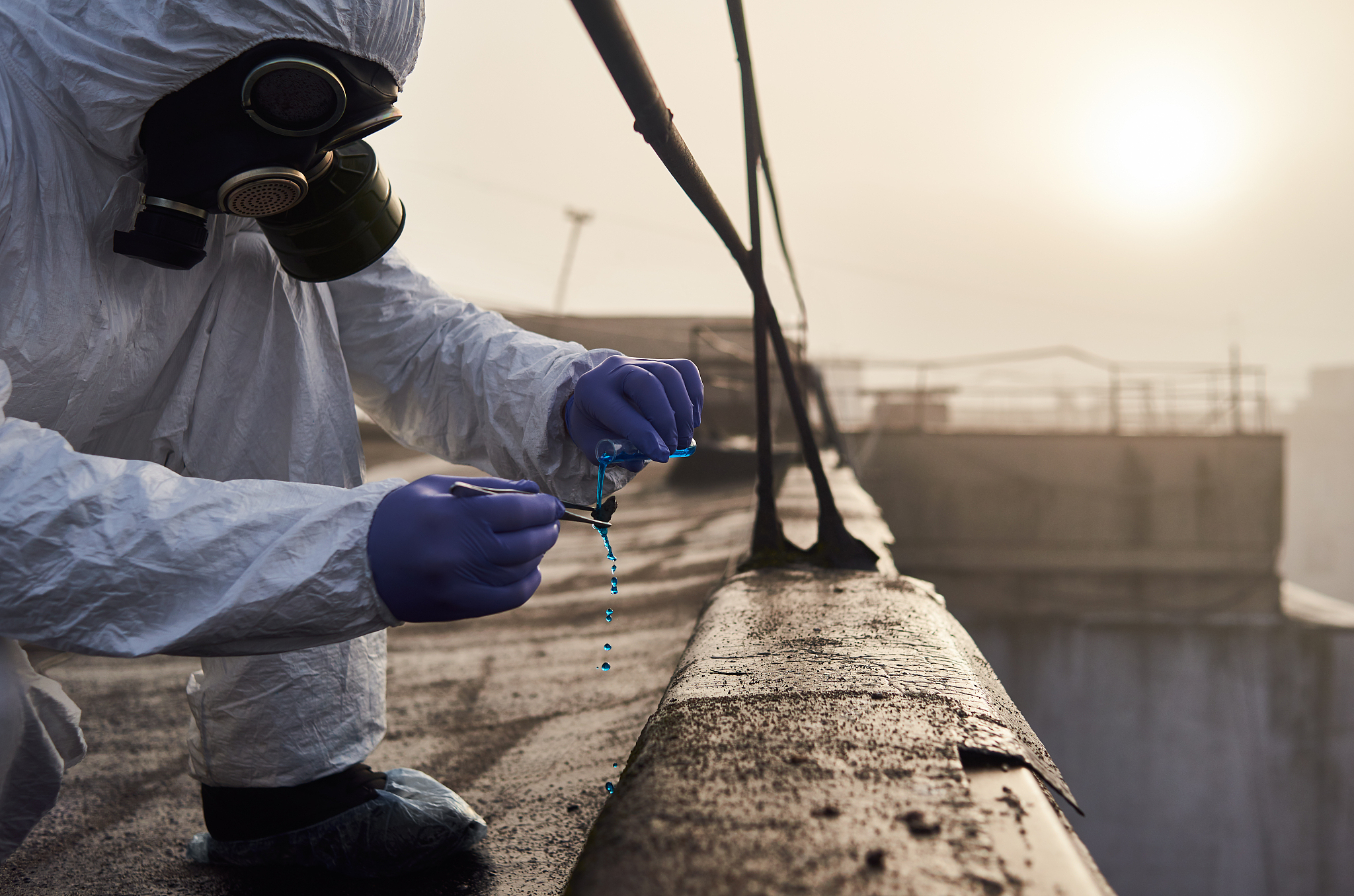 ENVIRONMENTAL AND EXPERIMENTAL BOTANY期刊的详细介绍