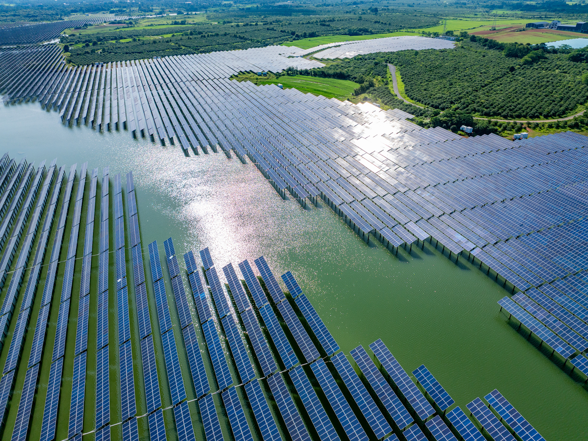 生态养殖对水阳江的经济效益和生态效应的积极作用