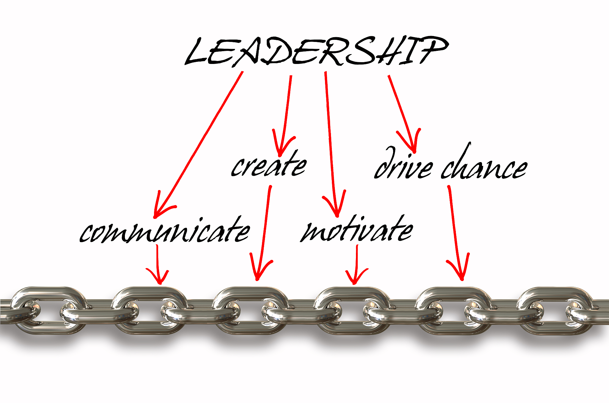 脂锚定外膜蛋白通过N端还是C端进行锚定