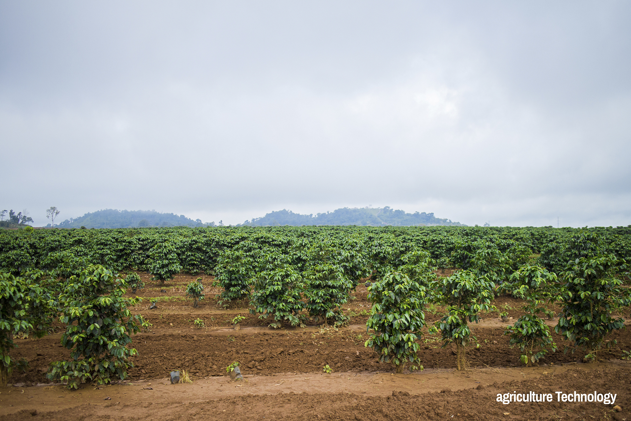 曲靖农业职业学校2019年五年制高职专业介绍
