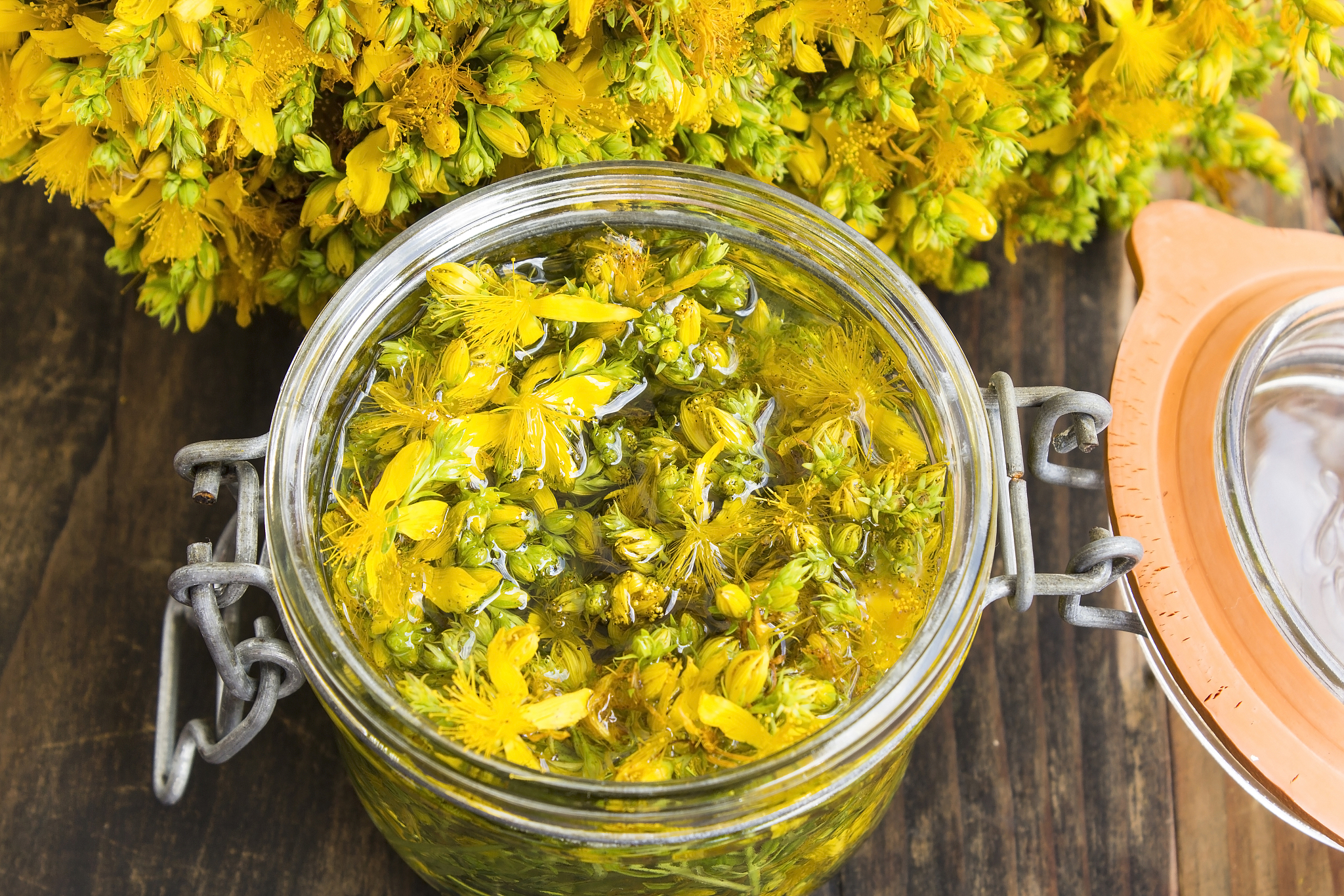 st. john's wort oil