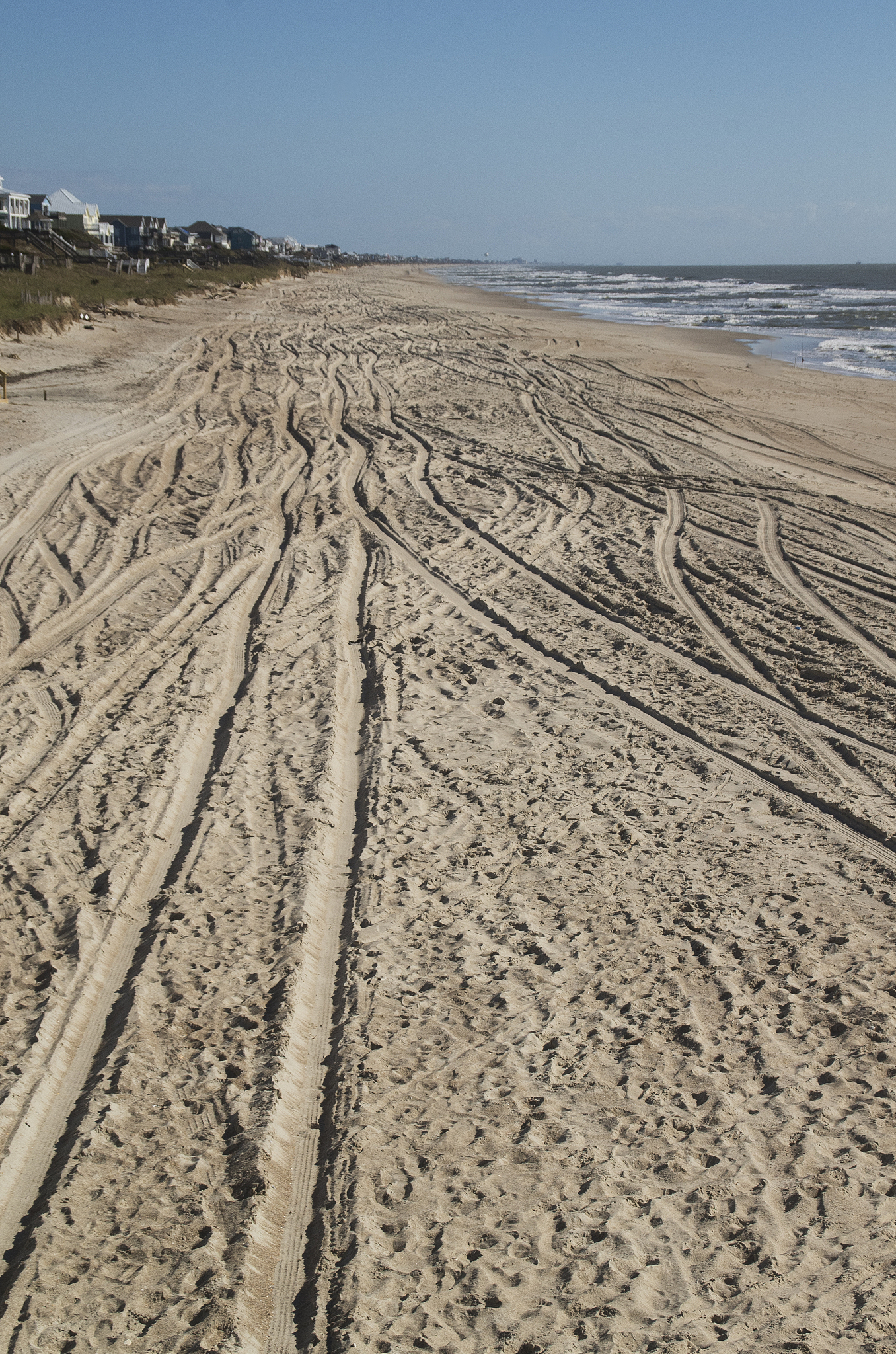 tracks in the sand