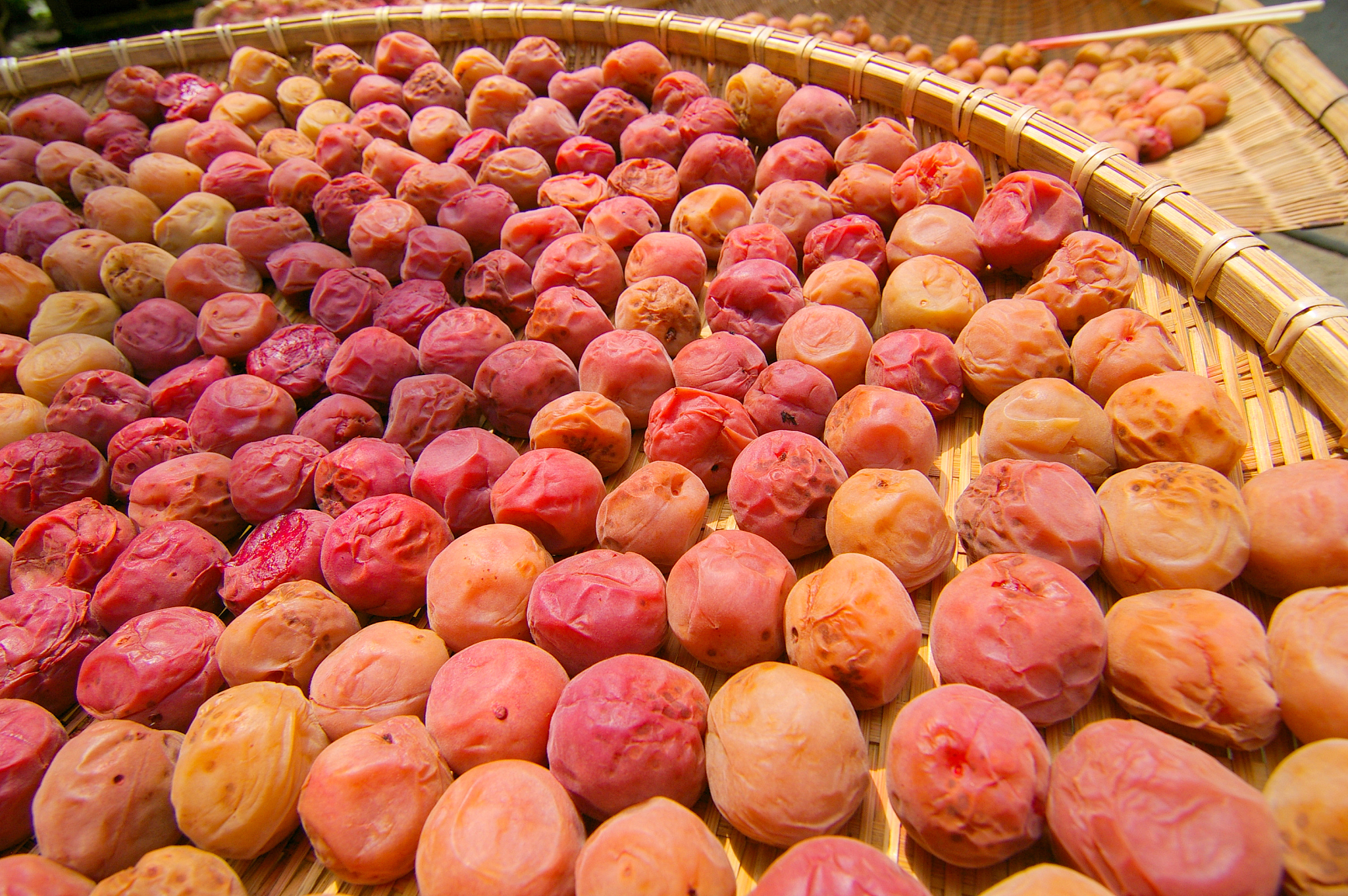 japanese pickled plum