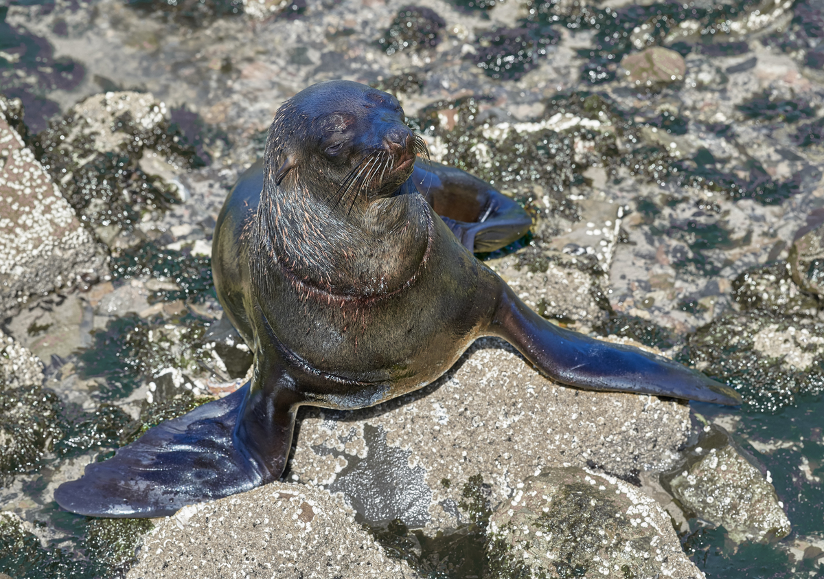 晒太阳的正确姿势，你做对了吗？
