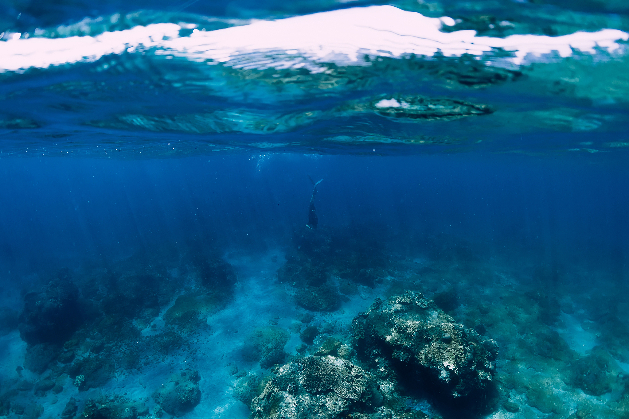 professional freediver dive to the deep in ocean