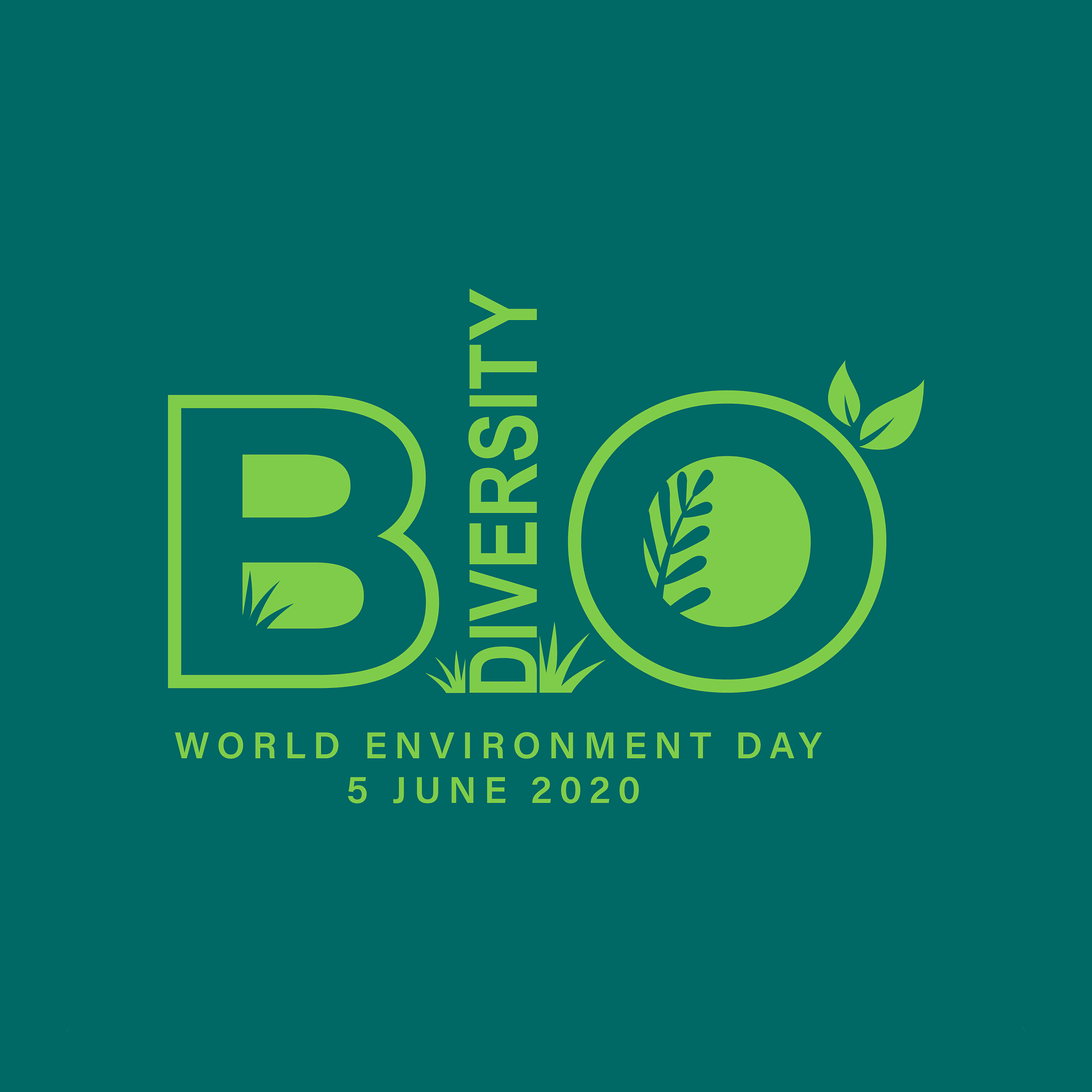 林业对中国的重要性：生态、经济、环境与社会效益