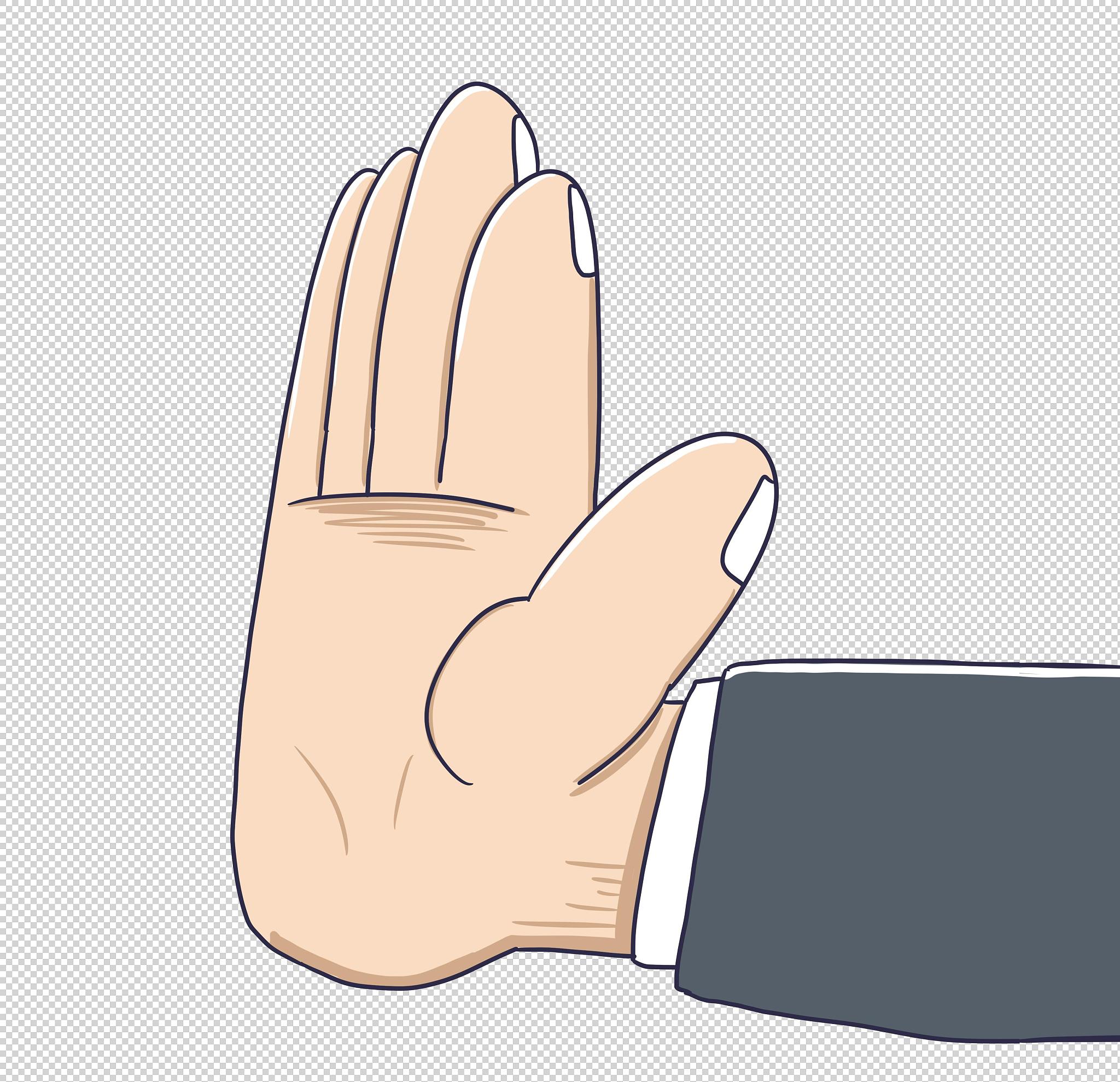 手掌解剖学：皮肤、皮下组织、筋膜、肌肉、骨骼、韧带和关节特点