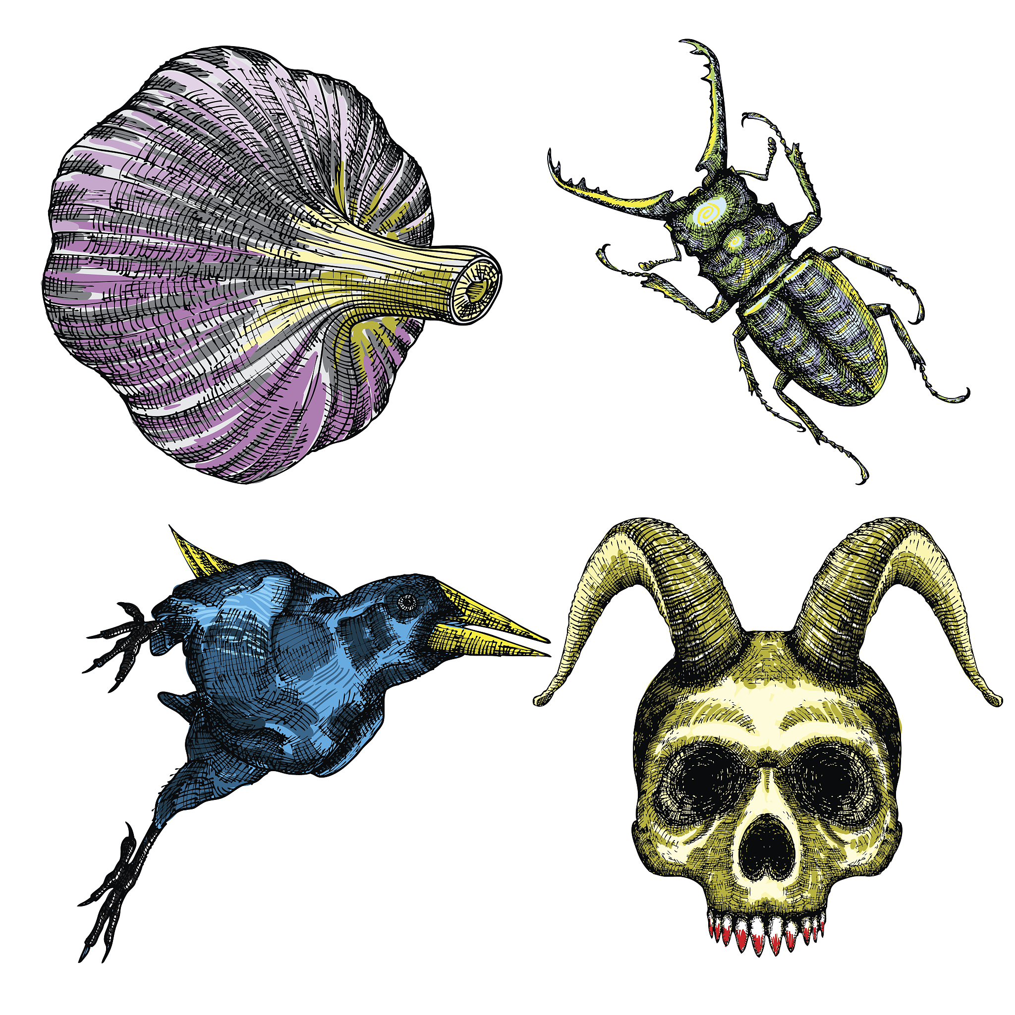 halloween set and occult magic attributes collection for witchcr