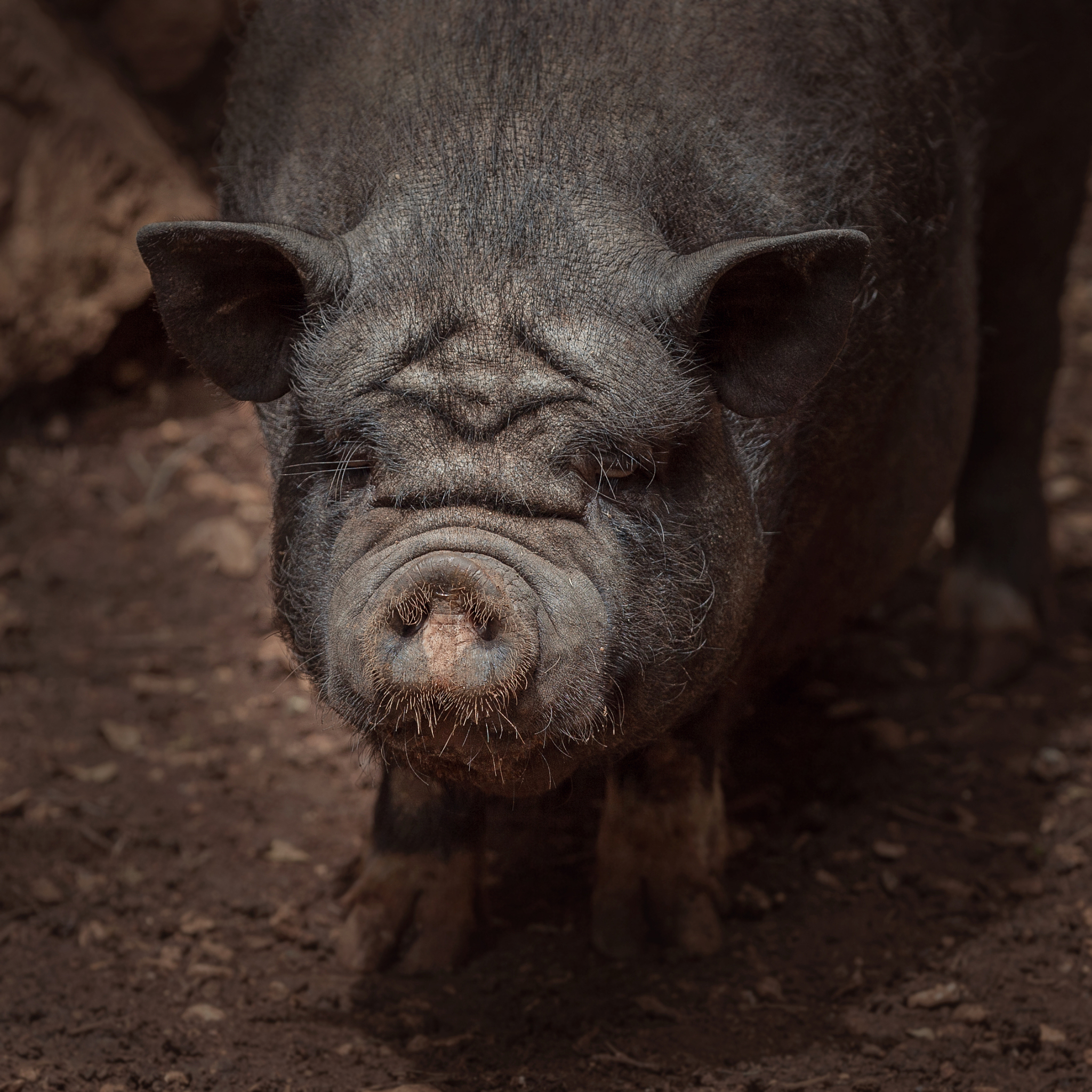 In file included from archarm64bootdtsallwinnersun50i-a64-amarula-relicdts7archarm64bootdtsallwinnersun50i-a64dtsi610 fatal error dt-bindingsclocksun50i-a64-ccuh No such file or directory 6 #inclu