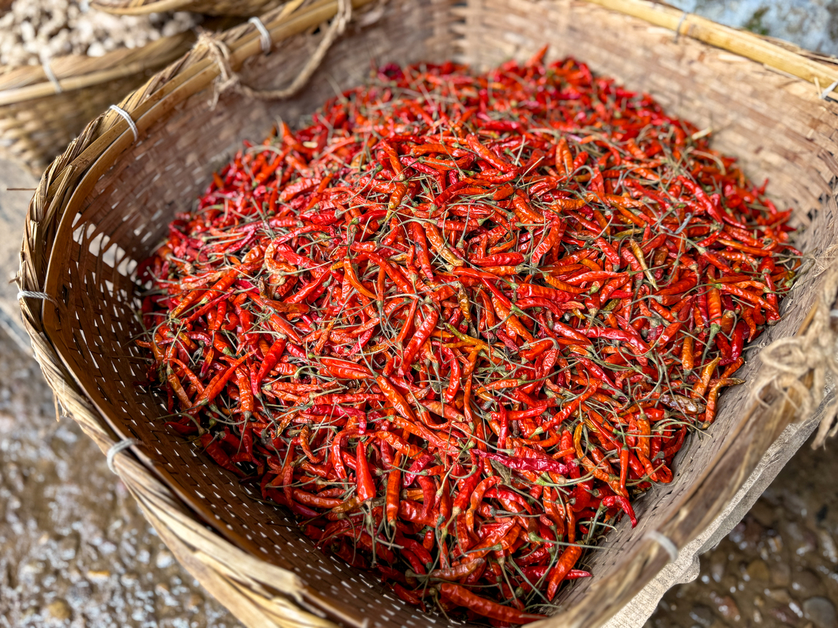 朝天椒 - 四川特产，辣味调味之王